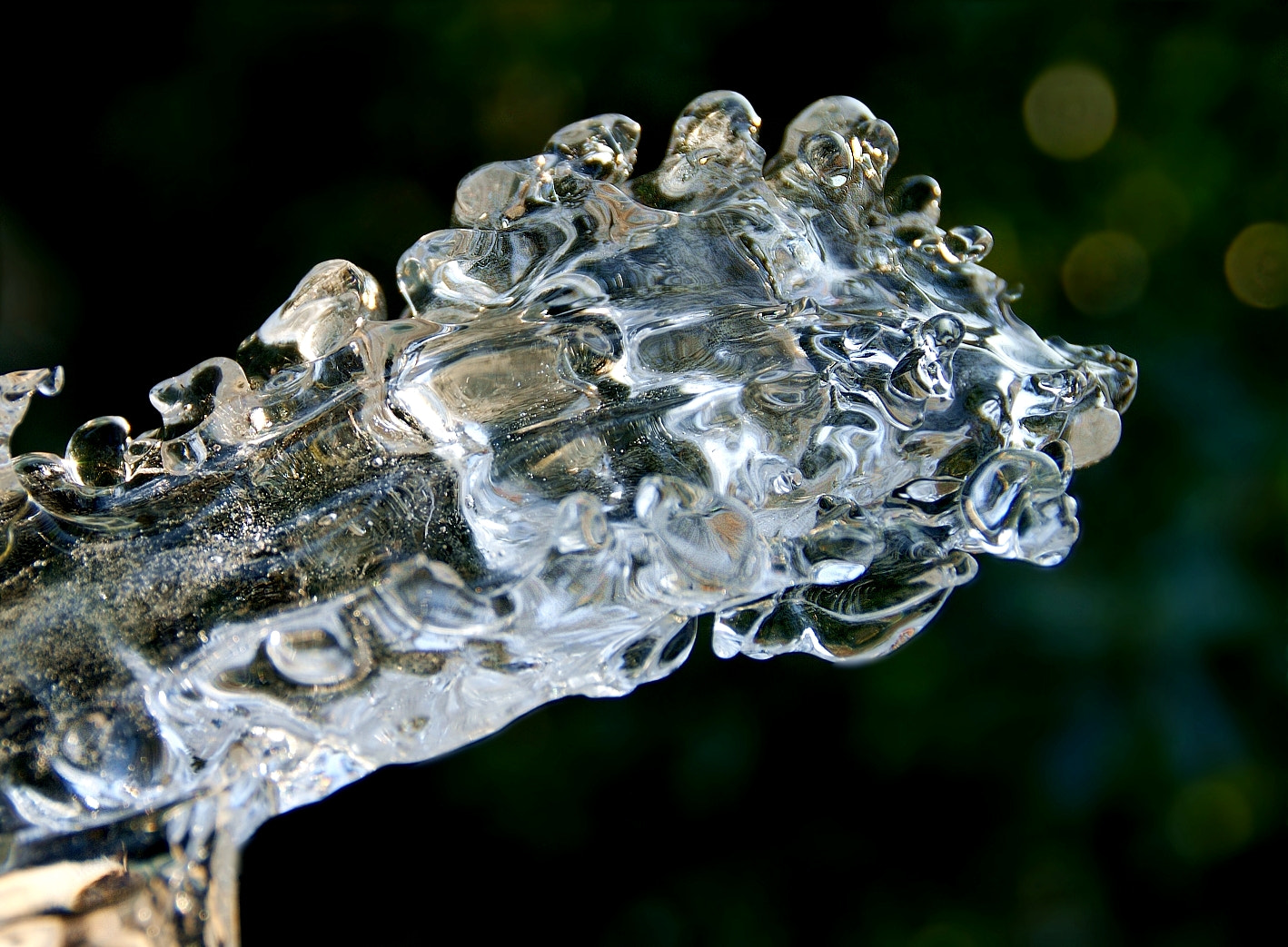 Sony Alpha DSLR-A290 sample photo. Ice art photography