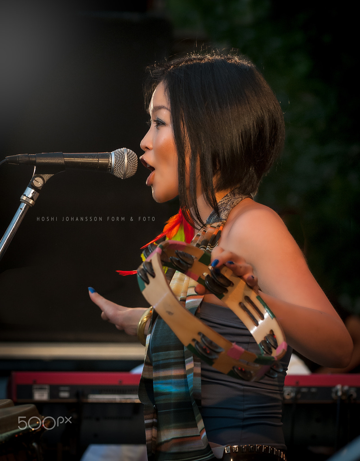 Nikon D200 sample photo. Sing to the moon photography