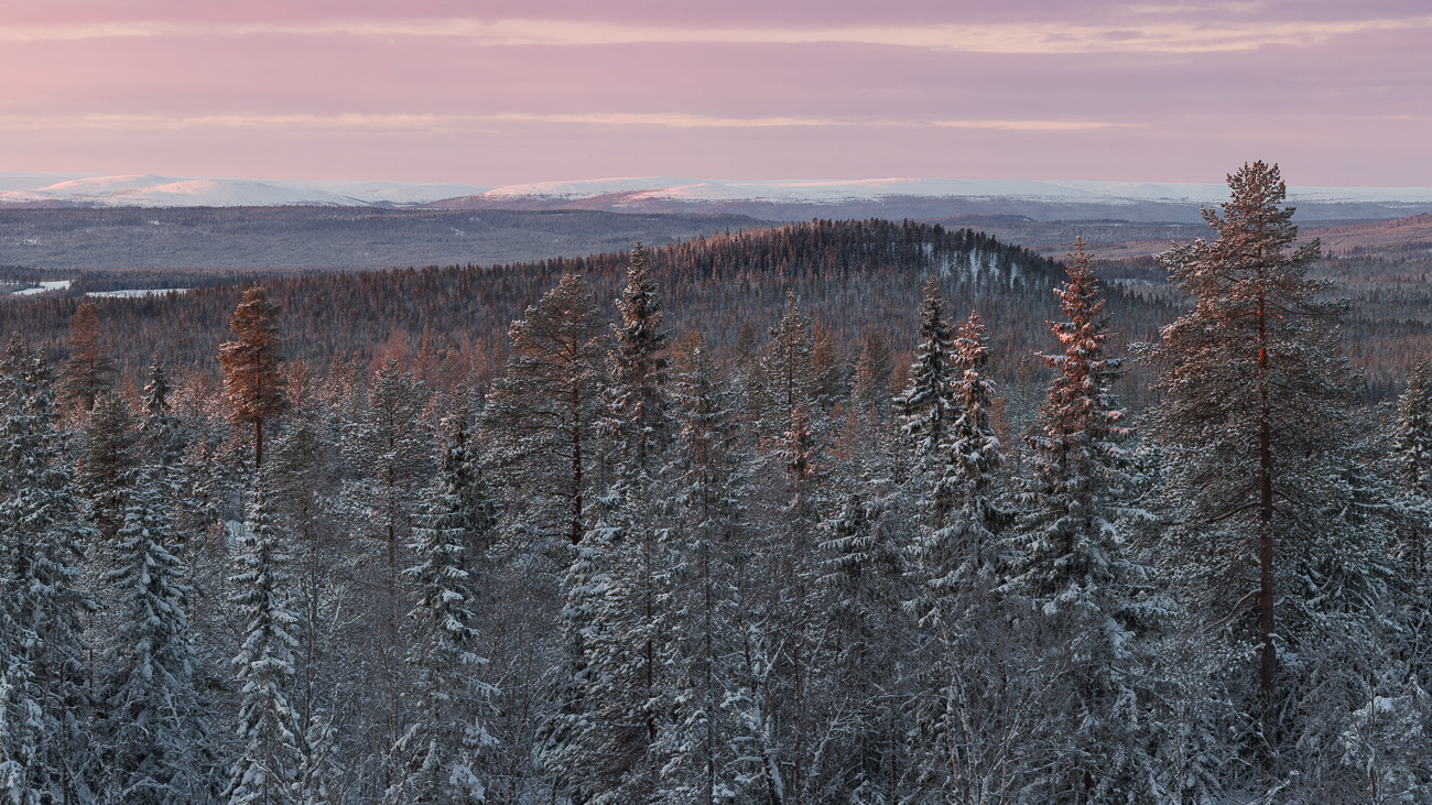 Canon EOS 5DS R + ZEISS Apo Sonnar T* 135mm F2 sample photo. Fulufjället vinter iv photography