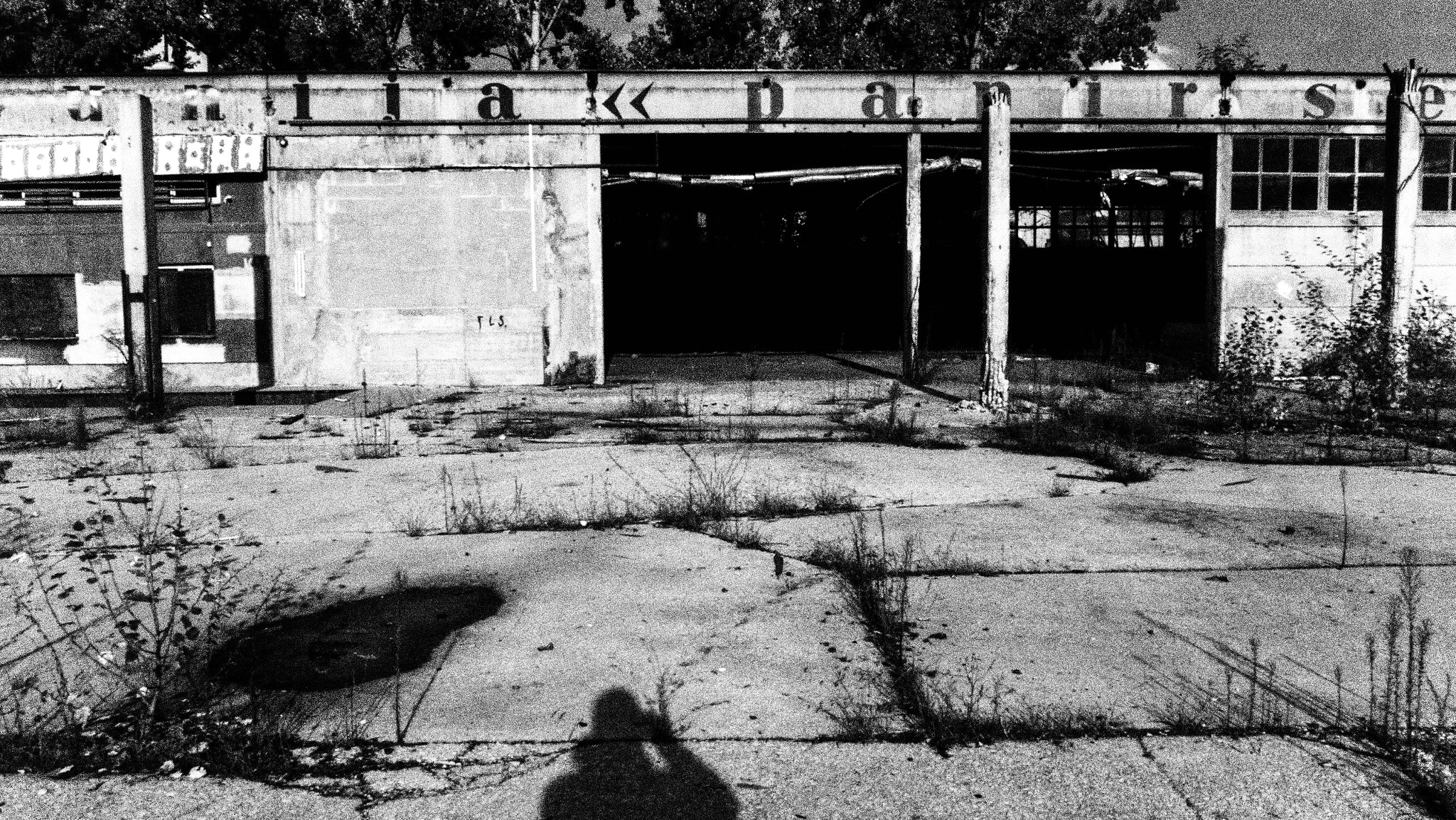 Olympus PEN-F sample photo. Inspiration search photography