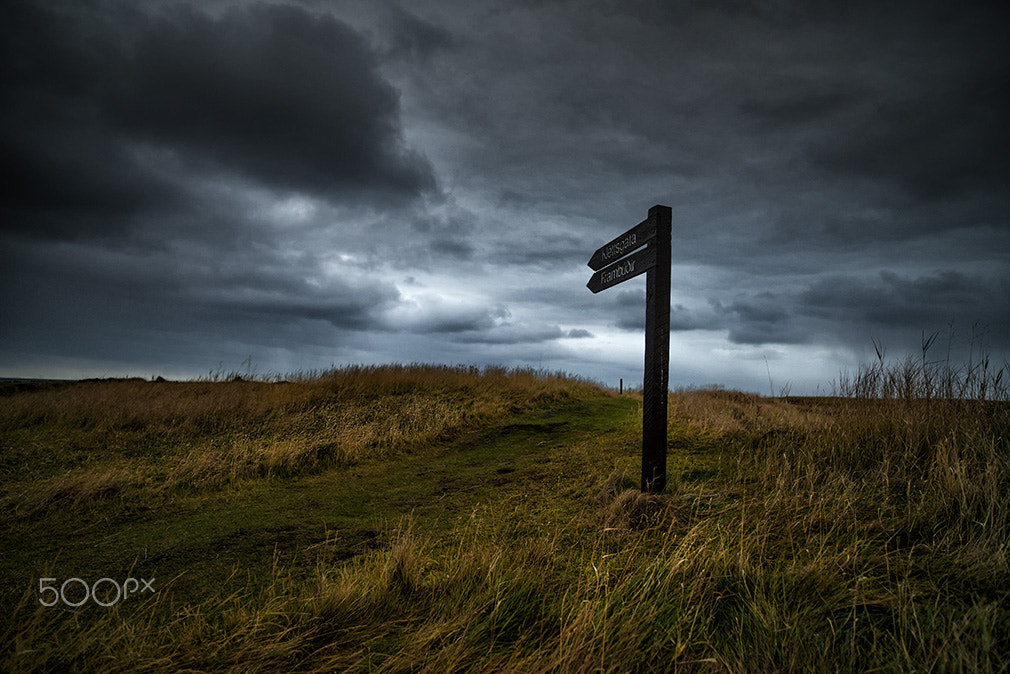Nikon D800E sample photo. Iceland photography
