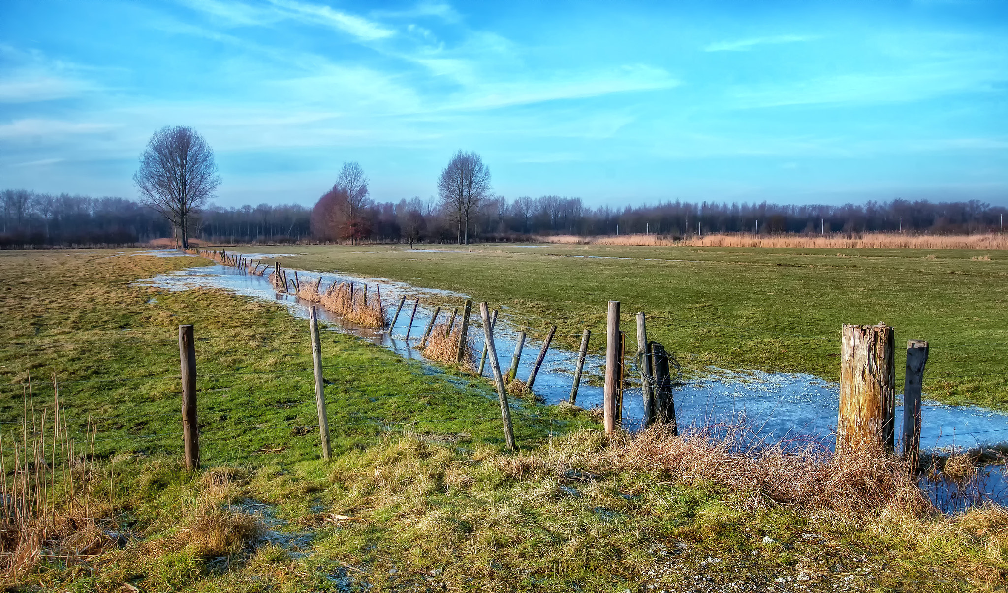 Canon EF 16-35mm F4L IS USM sample photo. Frozen farmers fields photography
