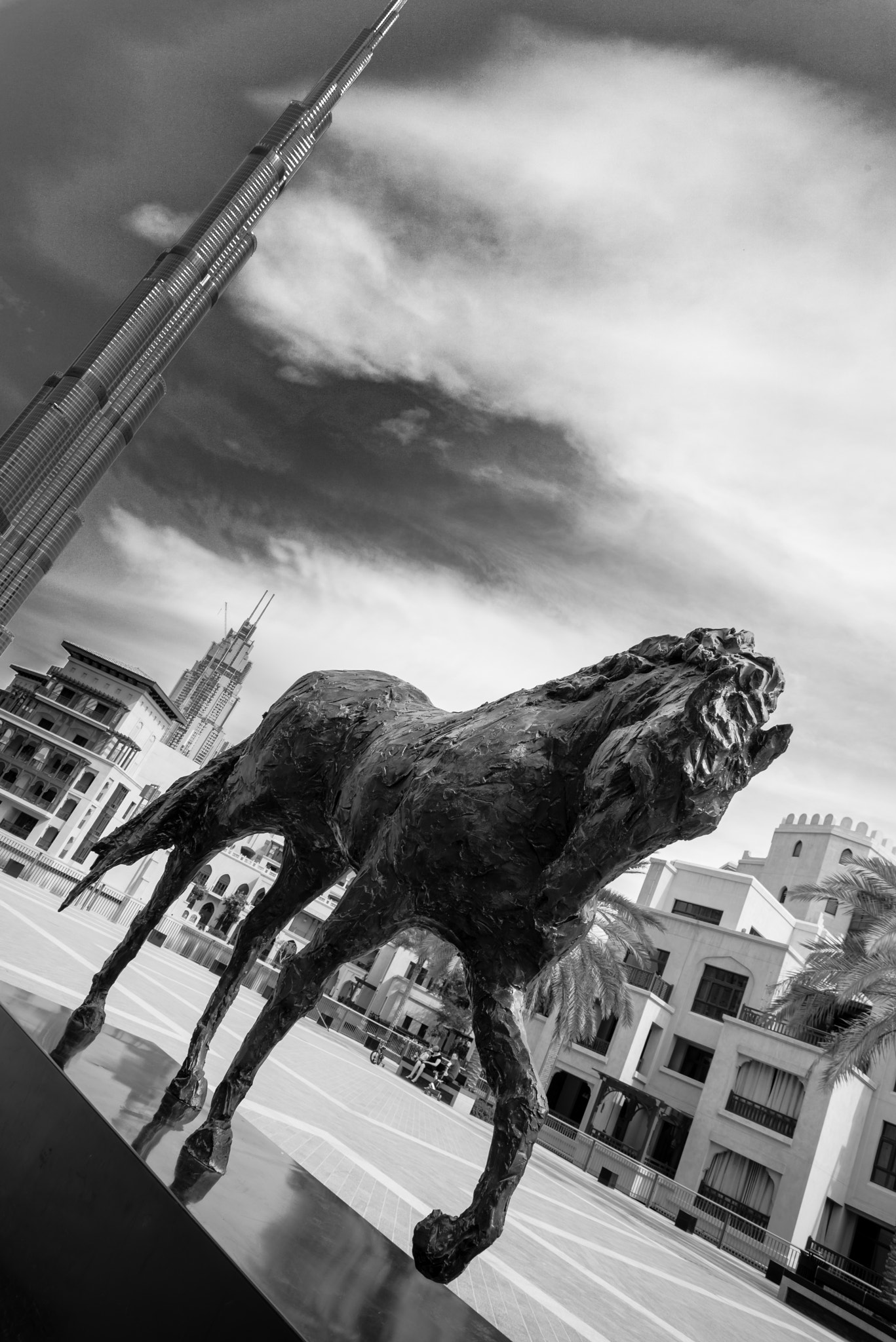 Nikon D800 sample photo. Dark horse photography