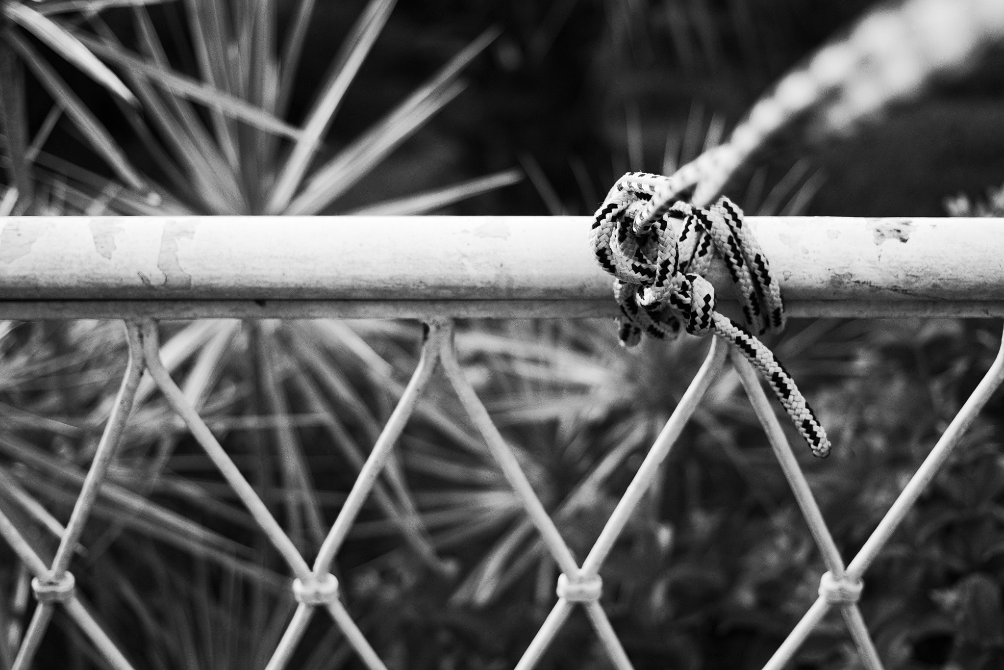 Canon EOS 100D (EOS Rebel SL1 / EOS Kiss X7) + Canon EF 40mm F2.8 STM sample photo. Rope photography