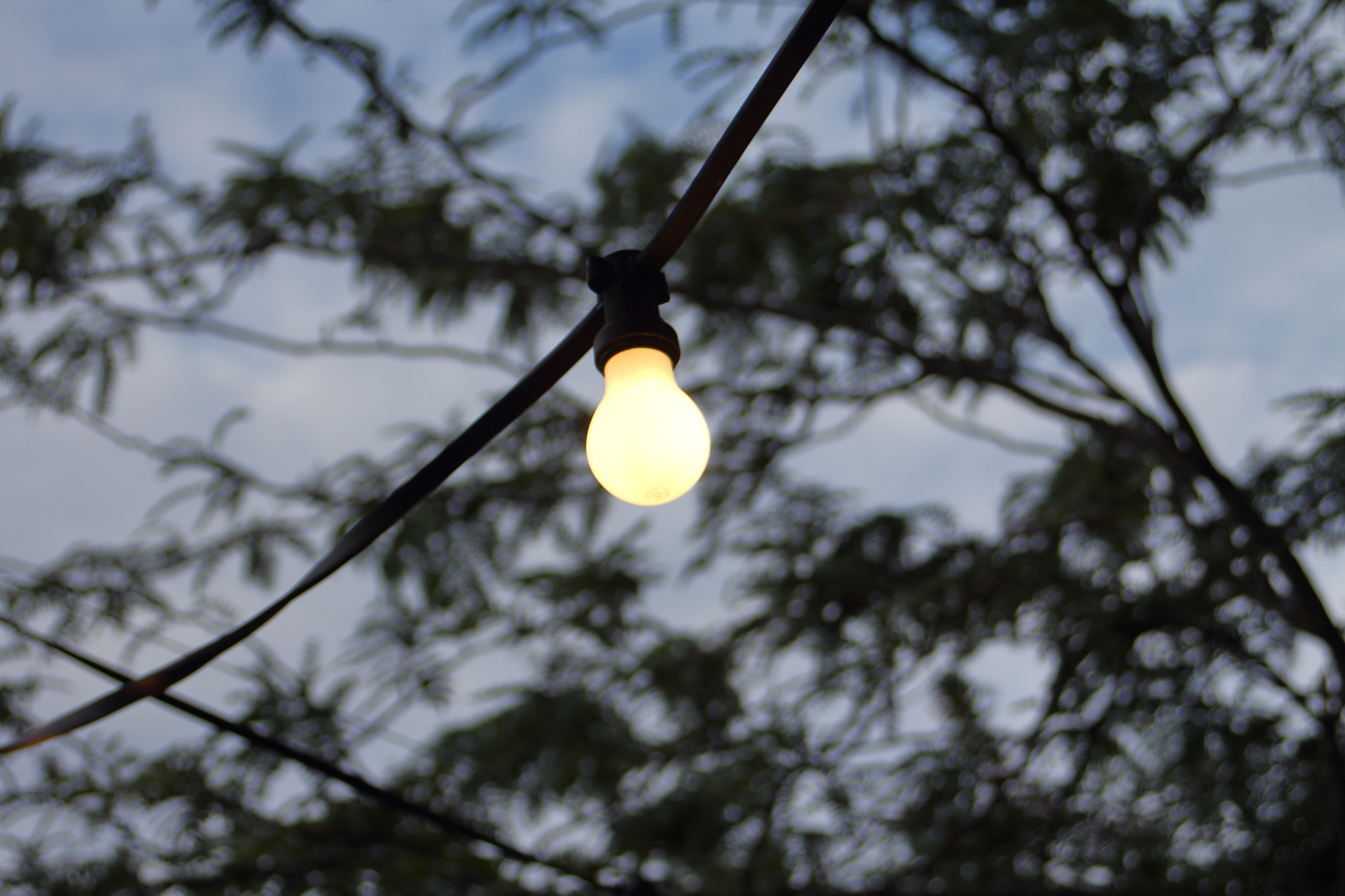 Canon EF 28-80mm f/3.5-5.6 sample photo. Light photography