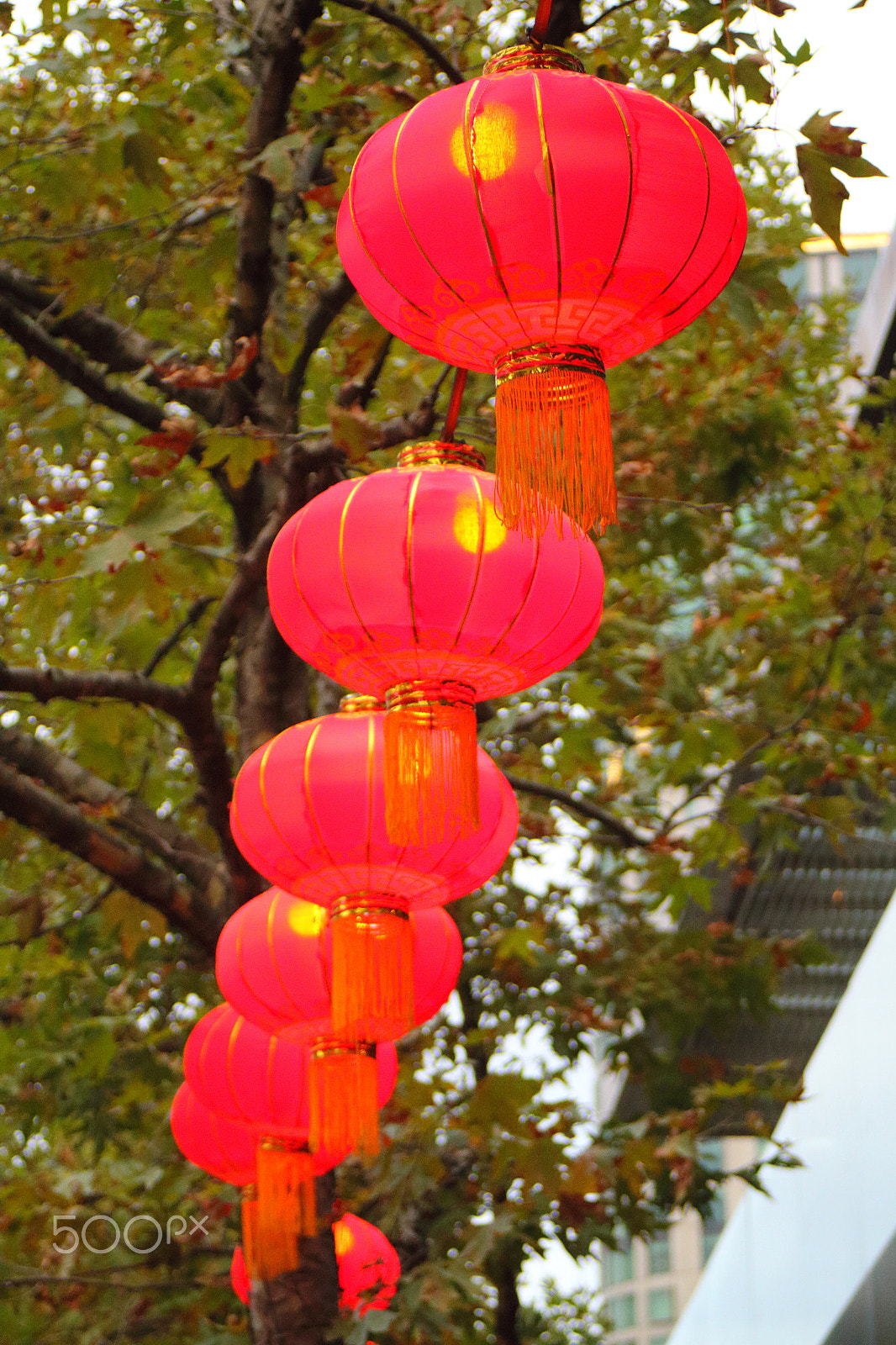 Canon EF 28-80mm f/3.5-5.6 sample photo. Red lanterns photography