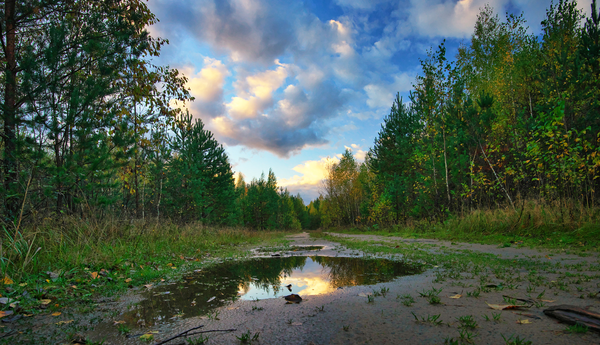 Nikon D800 sample photo. After rain photography
