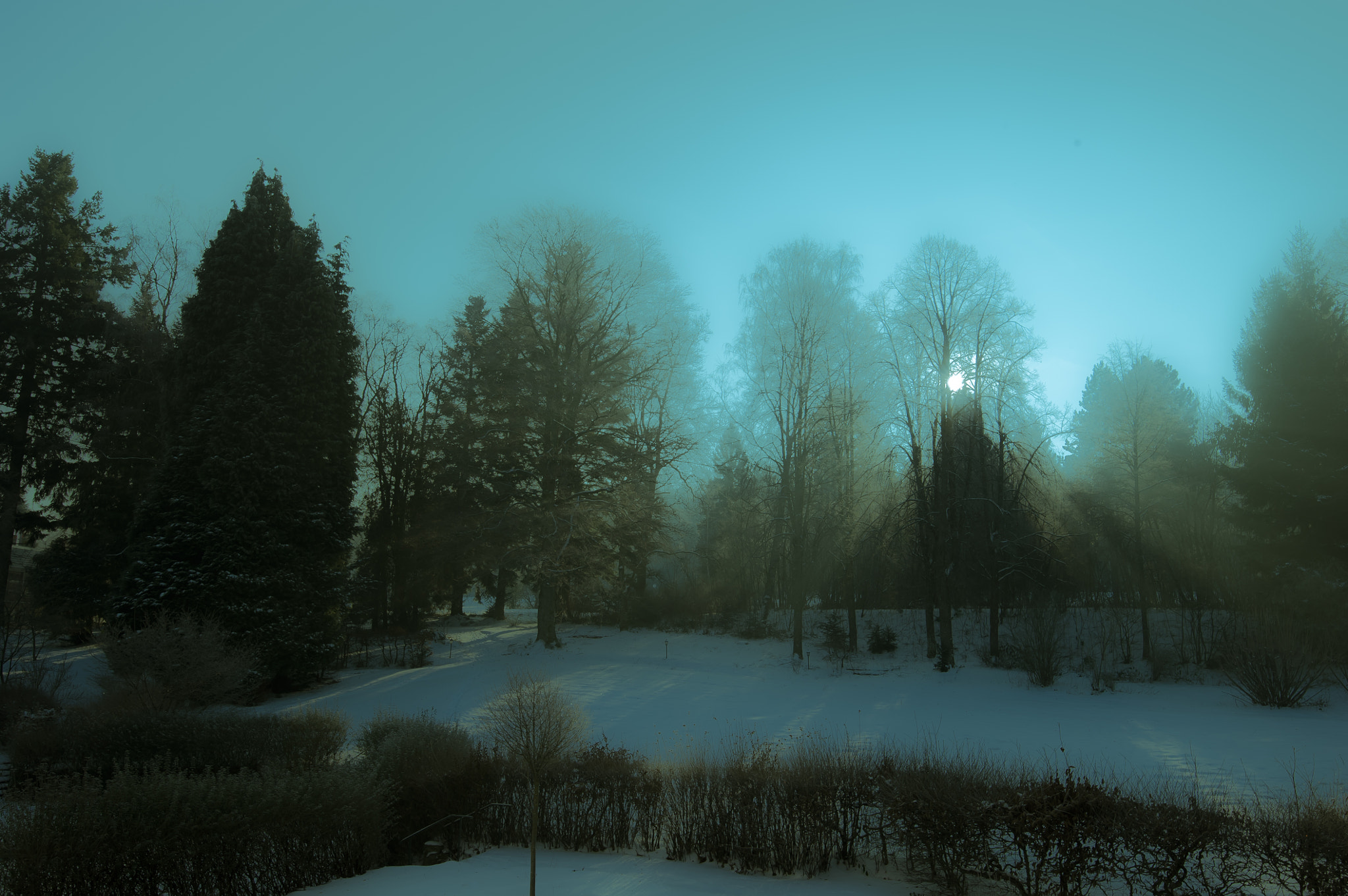 Nikon D3S sample photo. After the frost photography