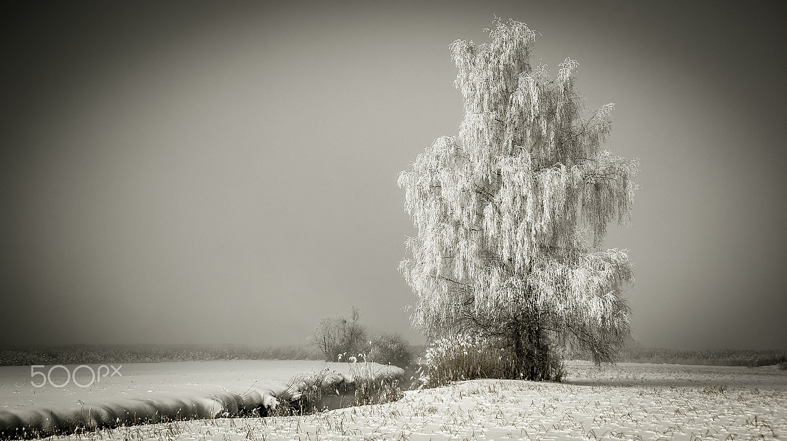 Pentax K10D sample photo. Chiemsee 01 photography