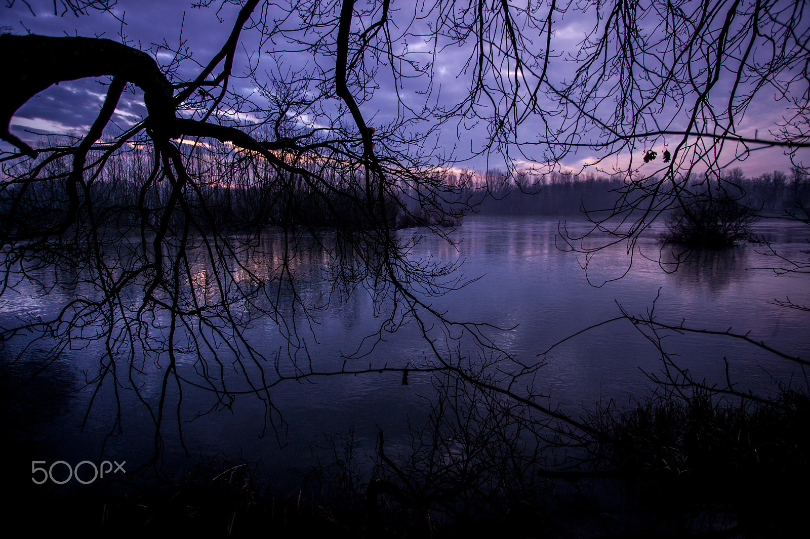 Canon EOS-1Ds sample photo. A tree on the river photography