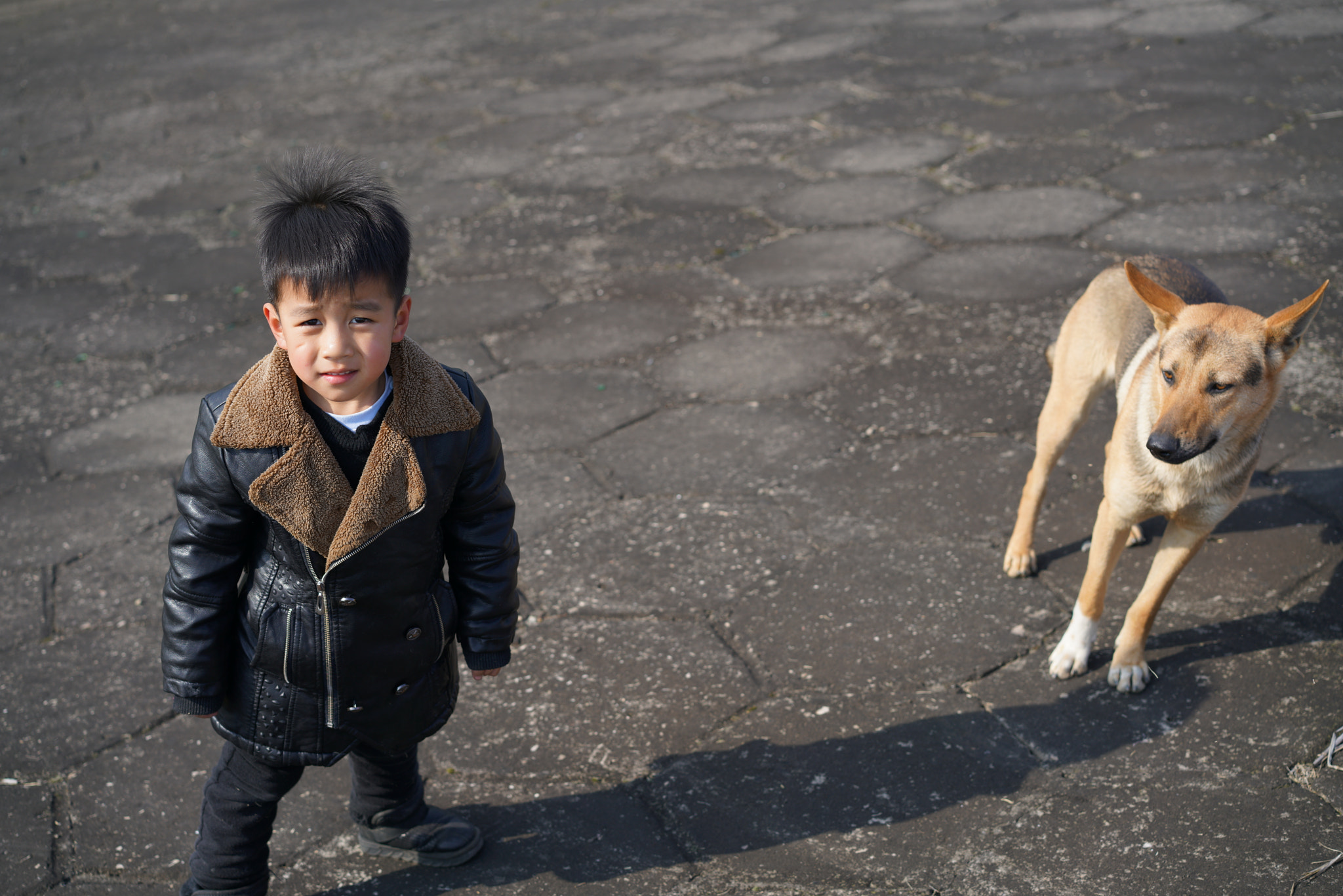 Sony a7R II + Sony Sonnar T* FE 55mm F1.8 ZA sample photo