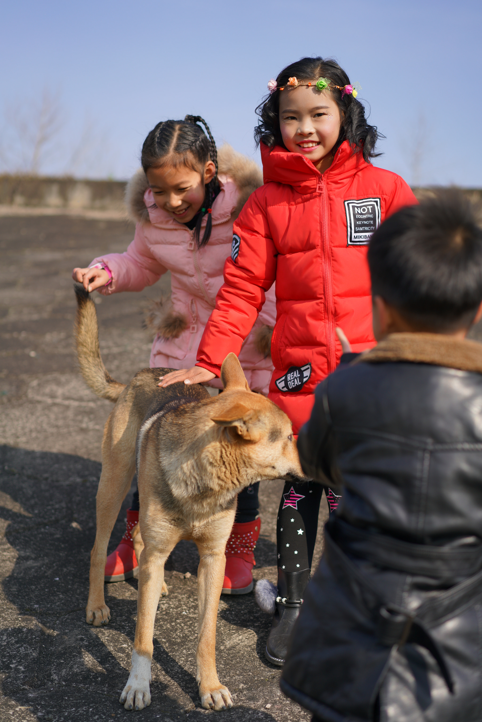 Sony a7R II + Sony Sonnar T* FE 55mm F1.8 ZA sample photo