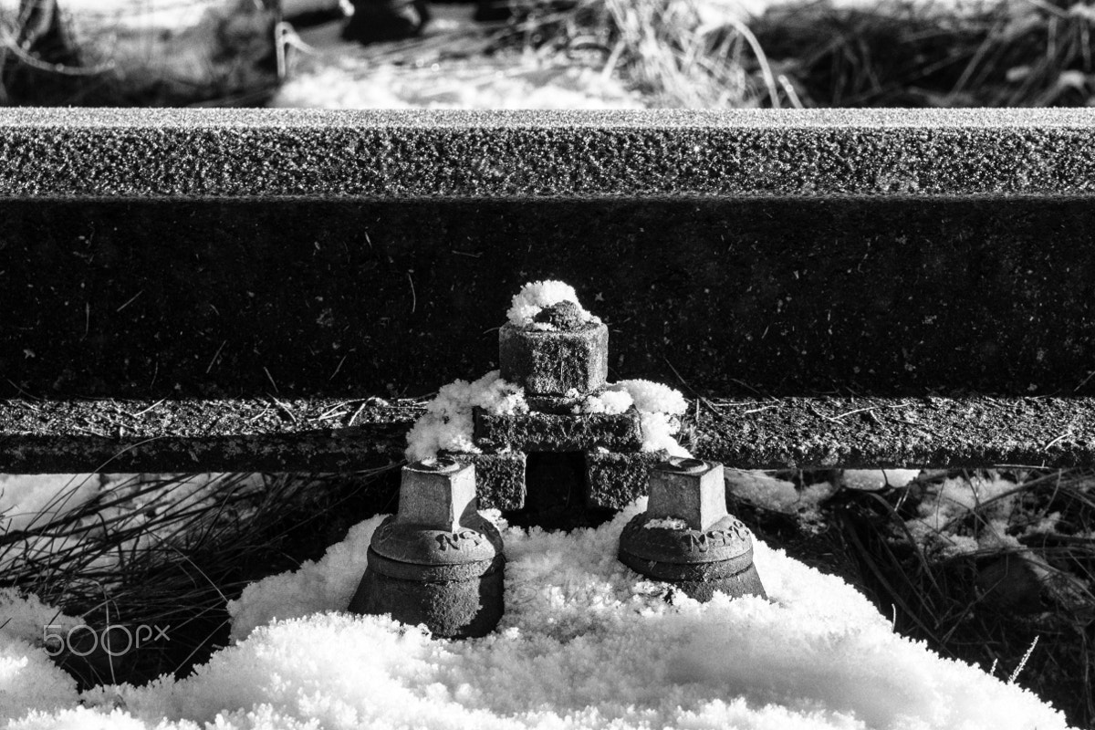 Canon EOS 60D sample photo. The old railroad photography
