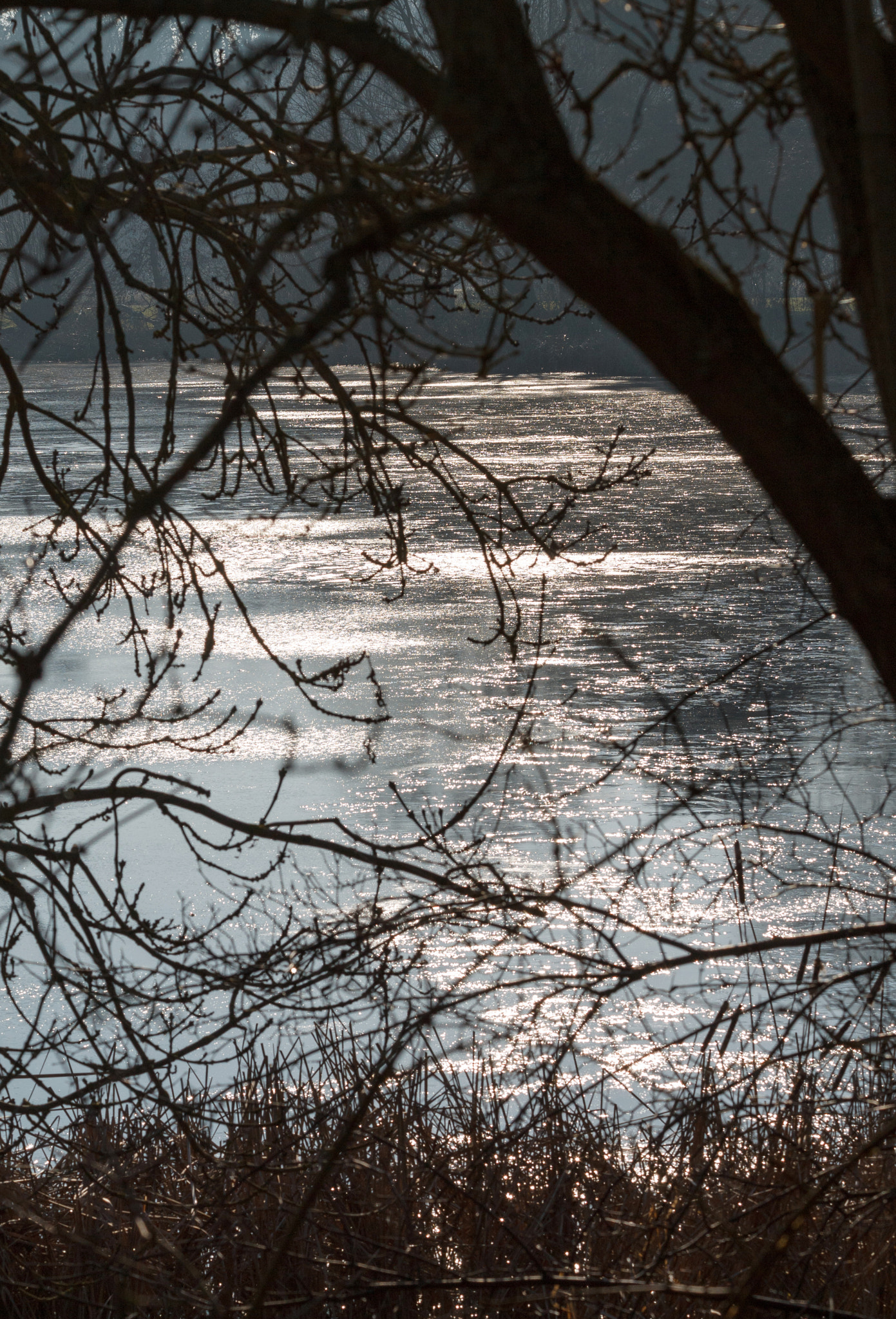 Canon EF 70-300mm F4-5.6 IS USM sample photo. Orton mere, frozen and sunlit photography