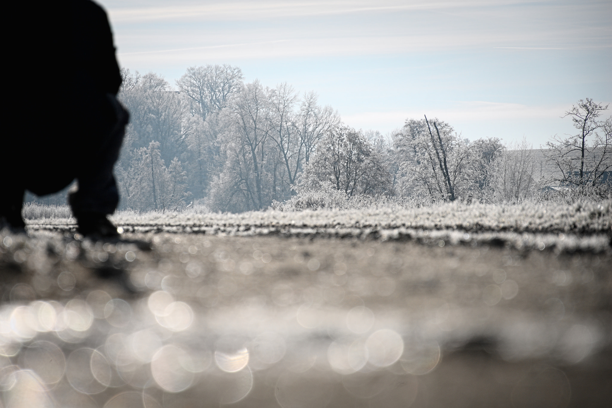 Nikon D200 sample photo. Walking in winter photography