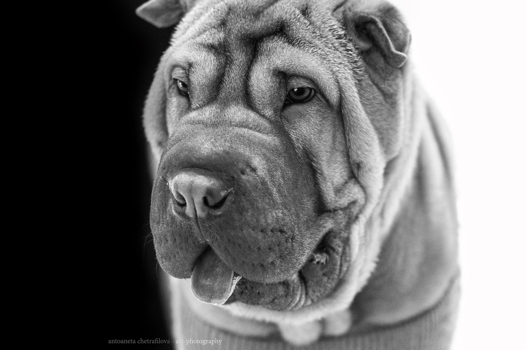 Pentax smc D-FA 100mm F2.8 Macro WR sample photo. Black and white photography