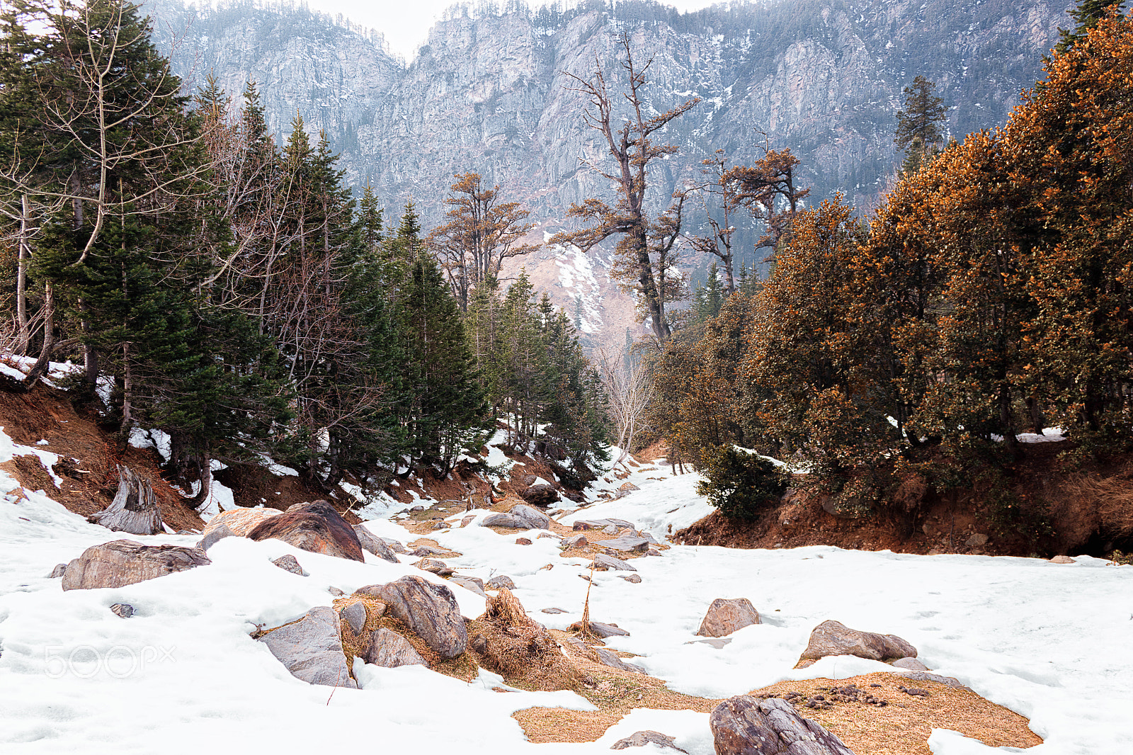 Canon EF-S 18-55mm F3.5-5.6 II sample photo. Kothi, himachal pradesh photography