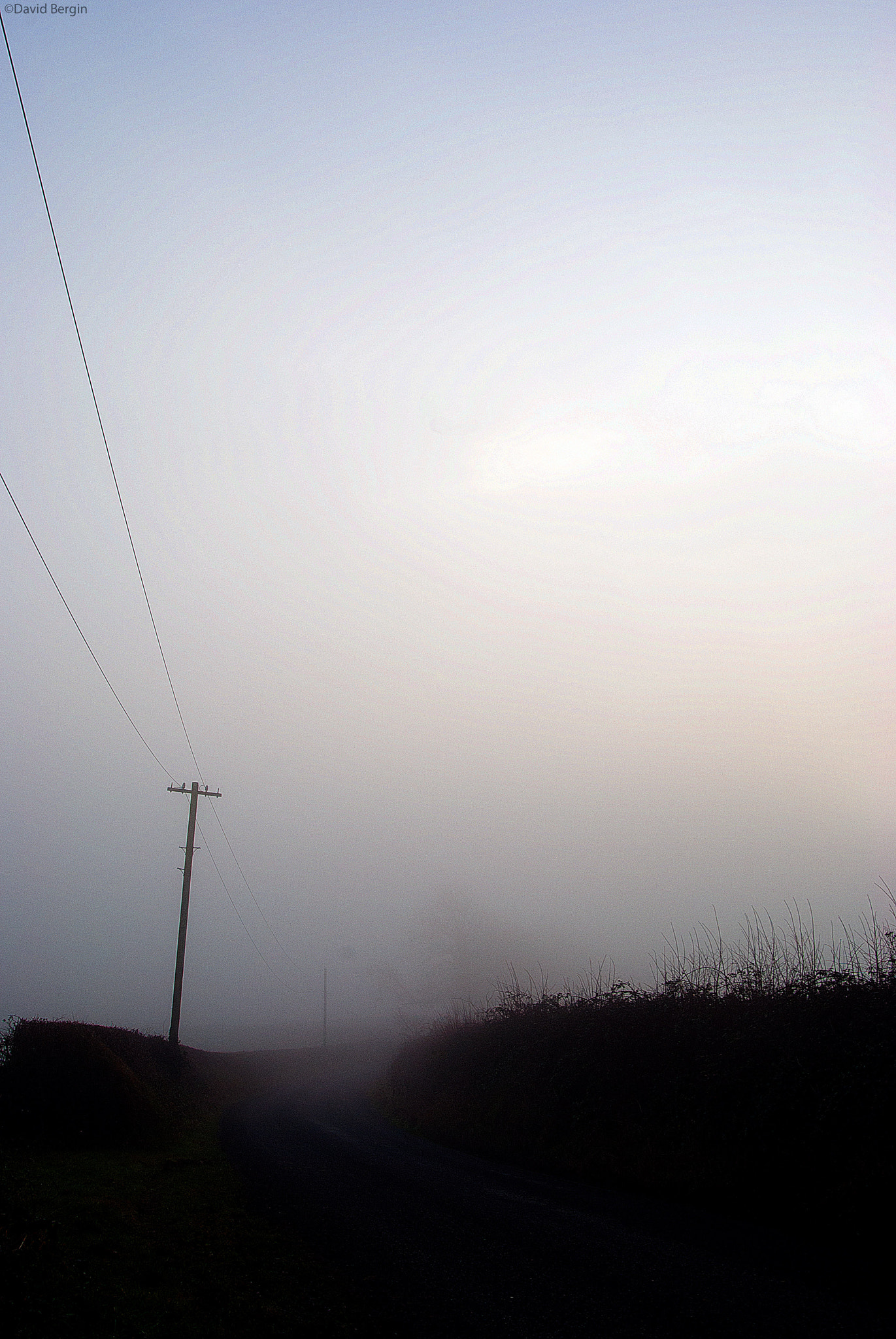 Nikon D3000 sample photo. That way photography