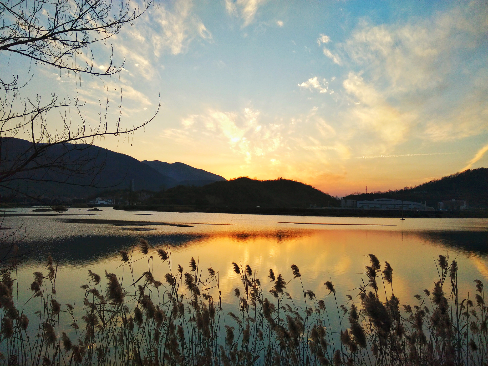 OPPO N3 sample photo