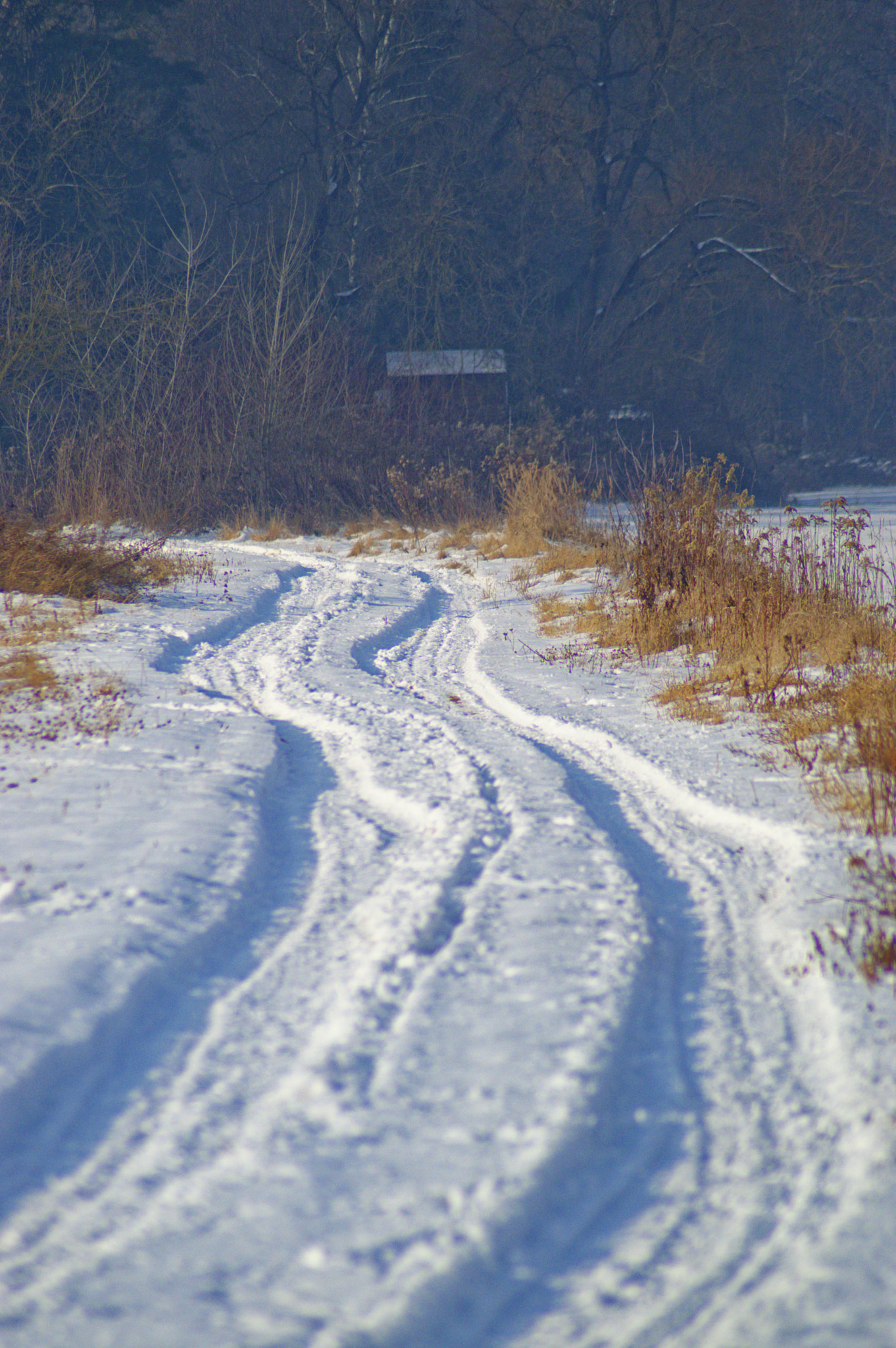 Nikon D3200 sample photo. Road to heaven photography