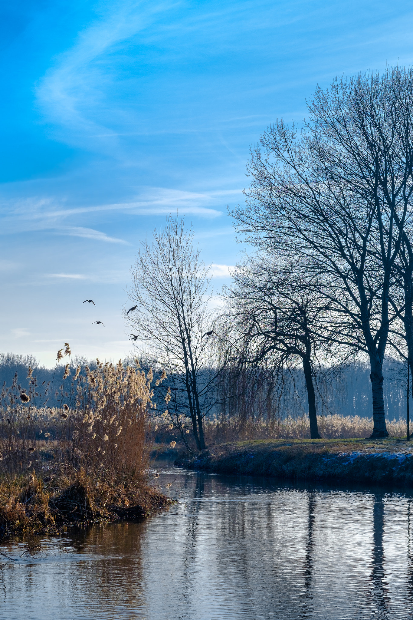 Fujifilm X-T10 sample photo. Sunny winter photography