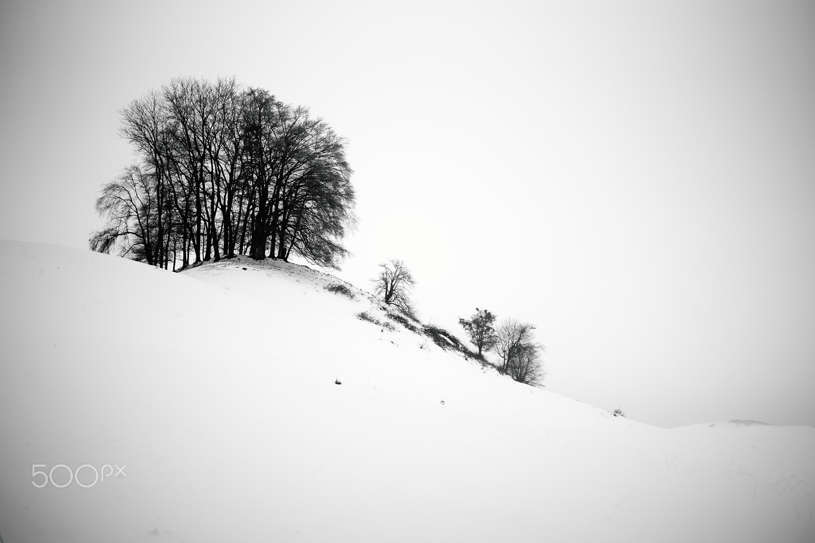 Sony a99 II + Sony 35mm F1.4 G sample photo. Mont chesau, 2017-01-20, #1, bw photography