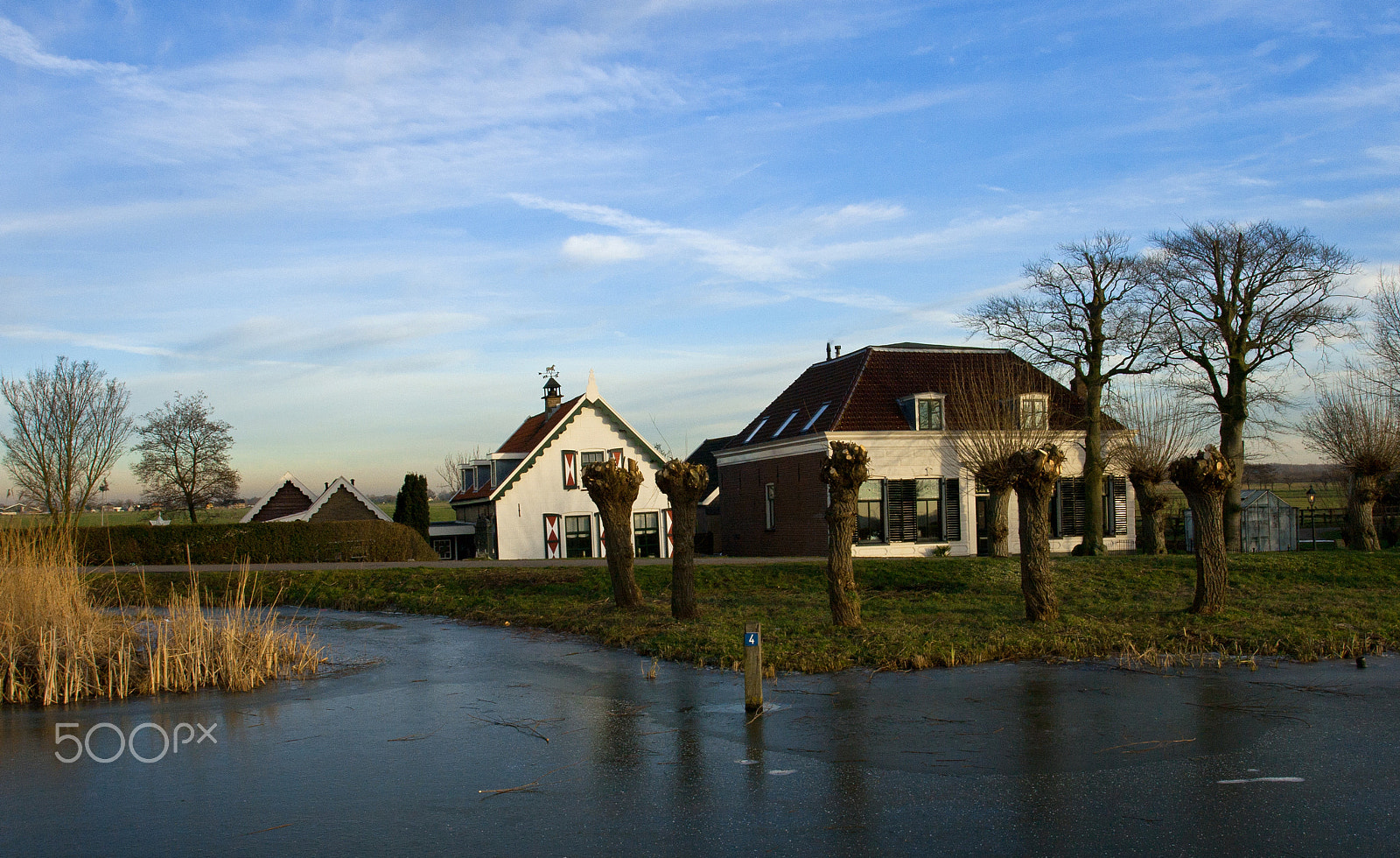 Canon EOS 400D (EOS Digital Rebel XTi / EOS Kiss Digital X) sample photo. House with ice and trees photography