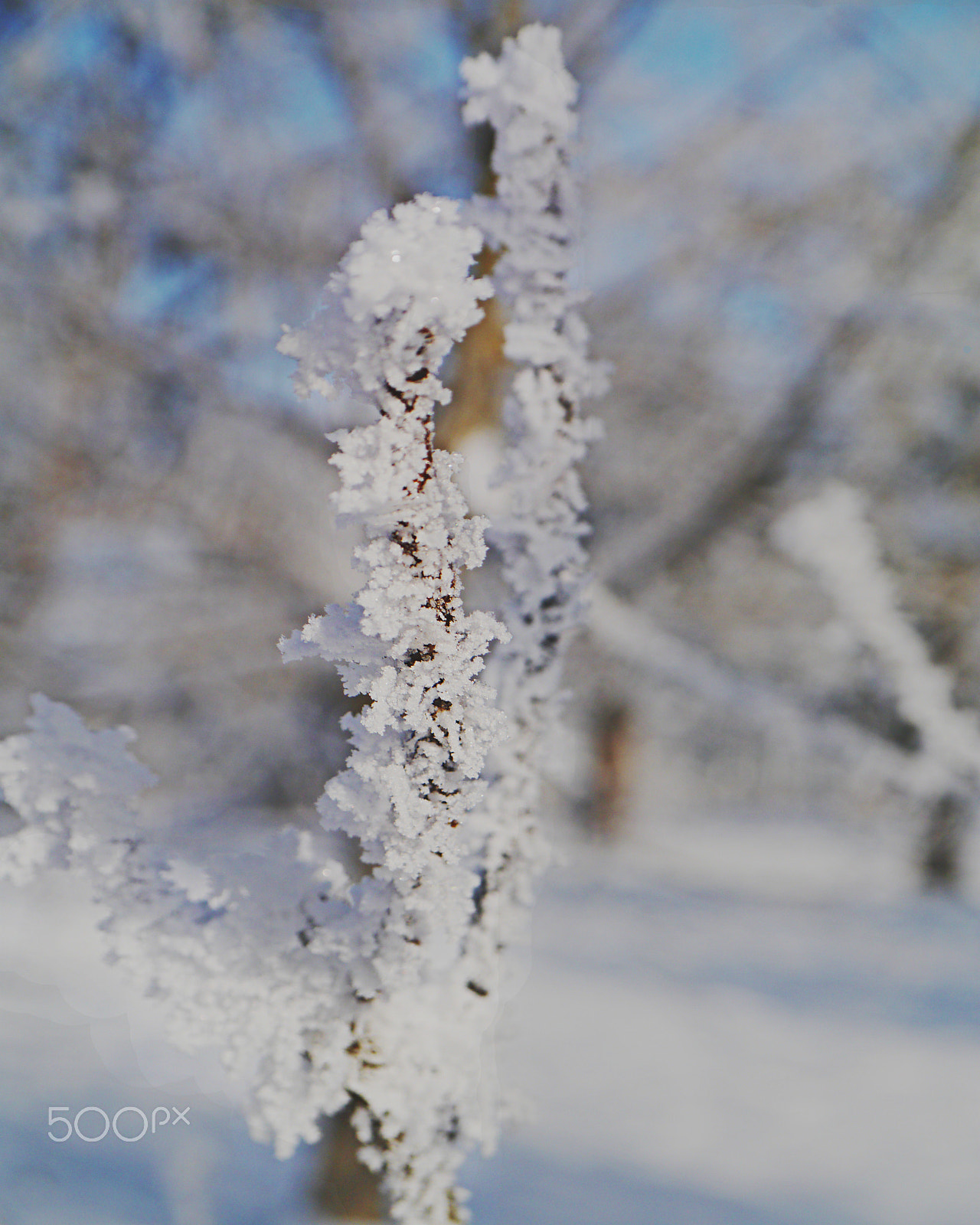 Panasonic Lumix DMC-G3 sample photo. Snow crystal photography