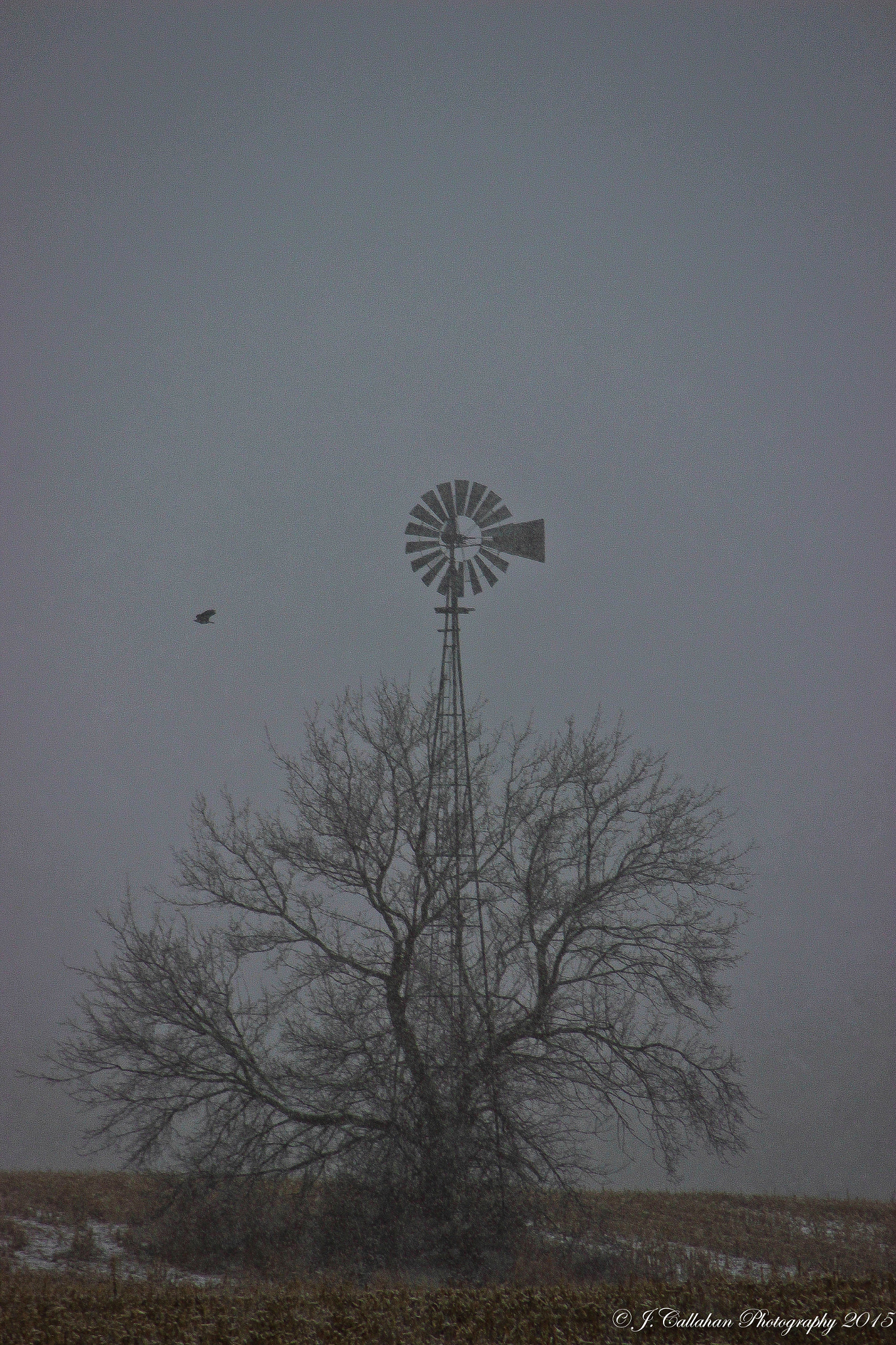 Canon EF 80-200mm F4.5-5.6 II sample photo. The winds of time photography