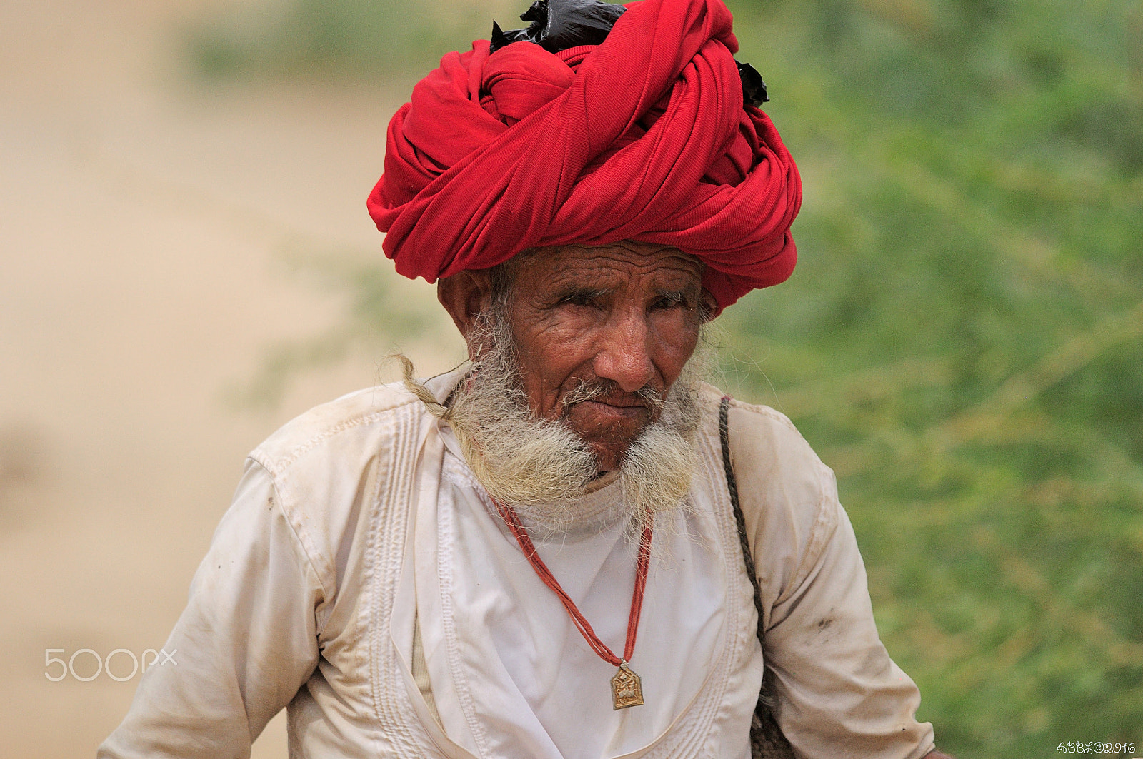 Nikon D90 + Nikon AF-S Nikkor 300mm F4D ED-IF sample photo. Shepherd from bera photography