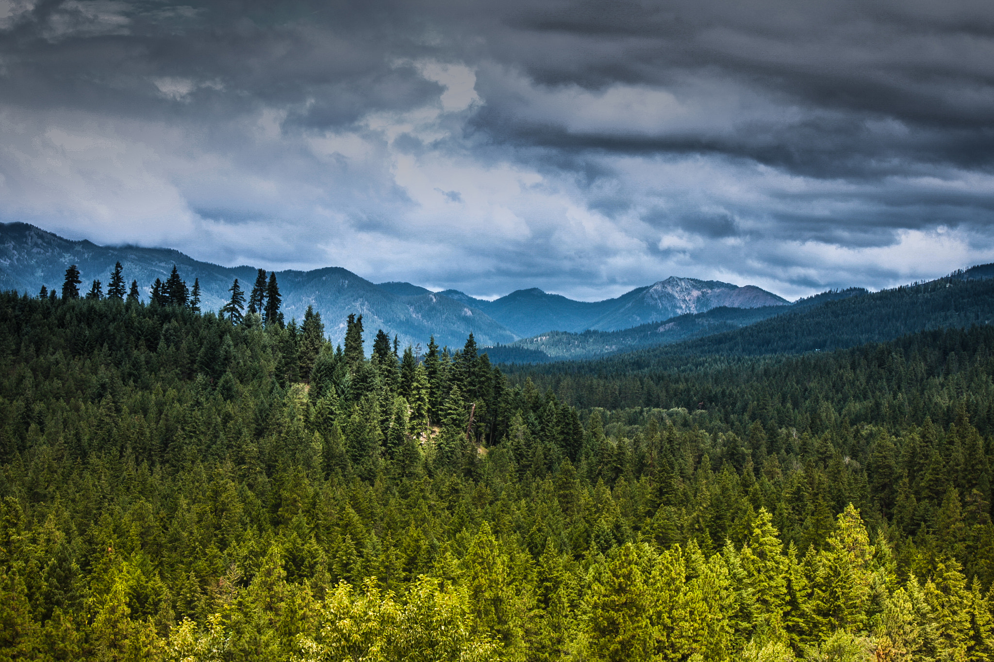 Canon EF-S 55-250mm F4-5.6 IS sample photo. Suncadia photography