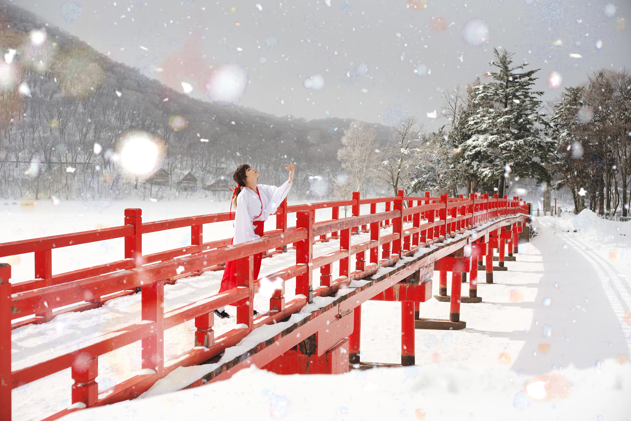 DT 40mm F2.8 SAM sample photo. Bridge to the shrine photography