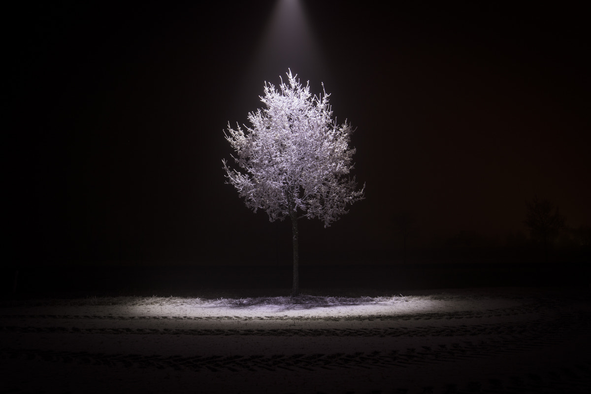 Canon EF 16-35mm F4L IS USM sample photo. Frozen moment photography