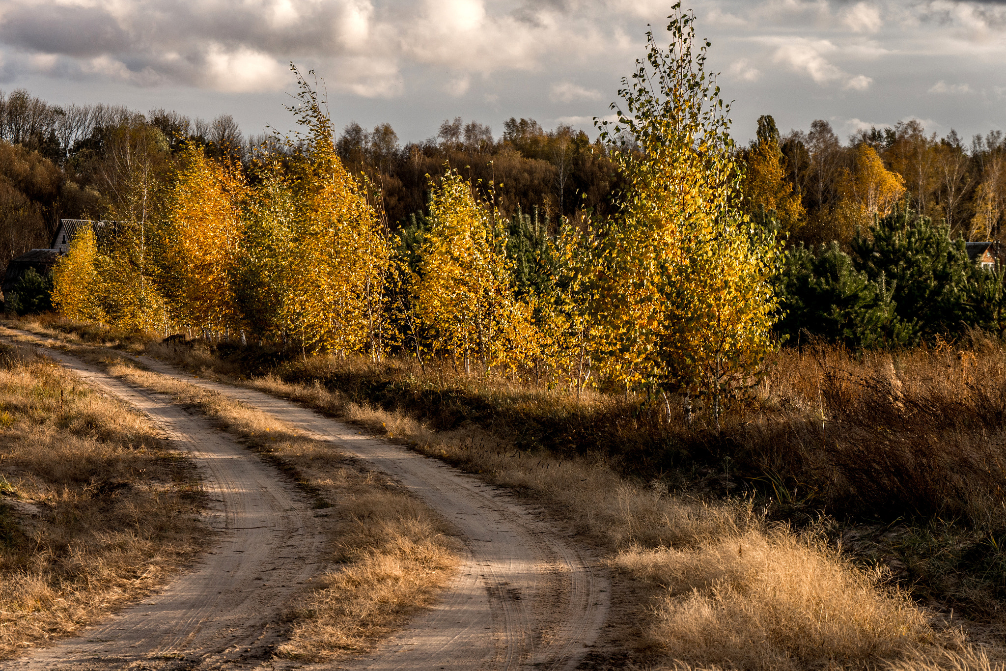 Panasonic Lumix DMC-GX7 sample photo. The road to the cottage photography