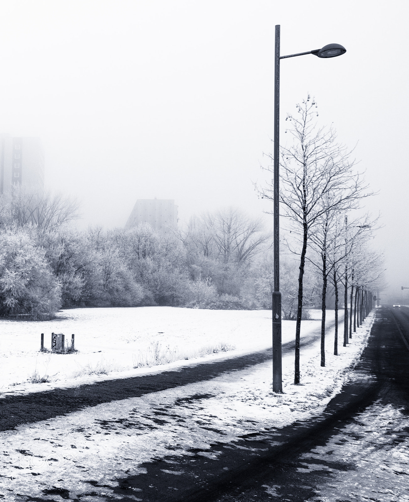 Canon EOS 750D (EOS Rebel T6i / EOS Kiss X8i) sample photo. Winterstreet photography