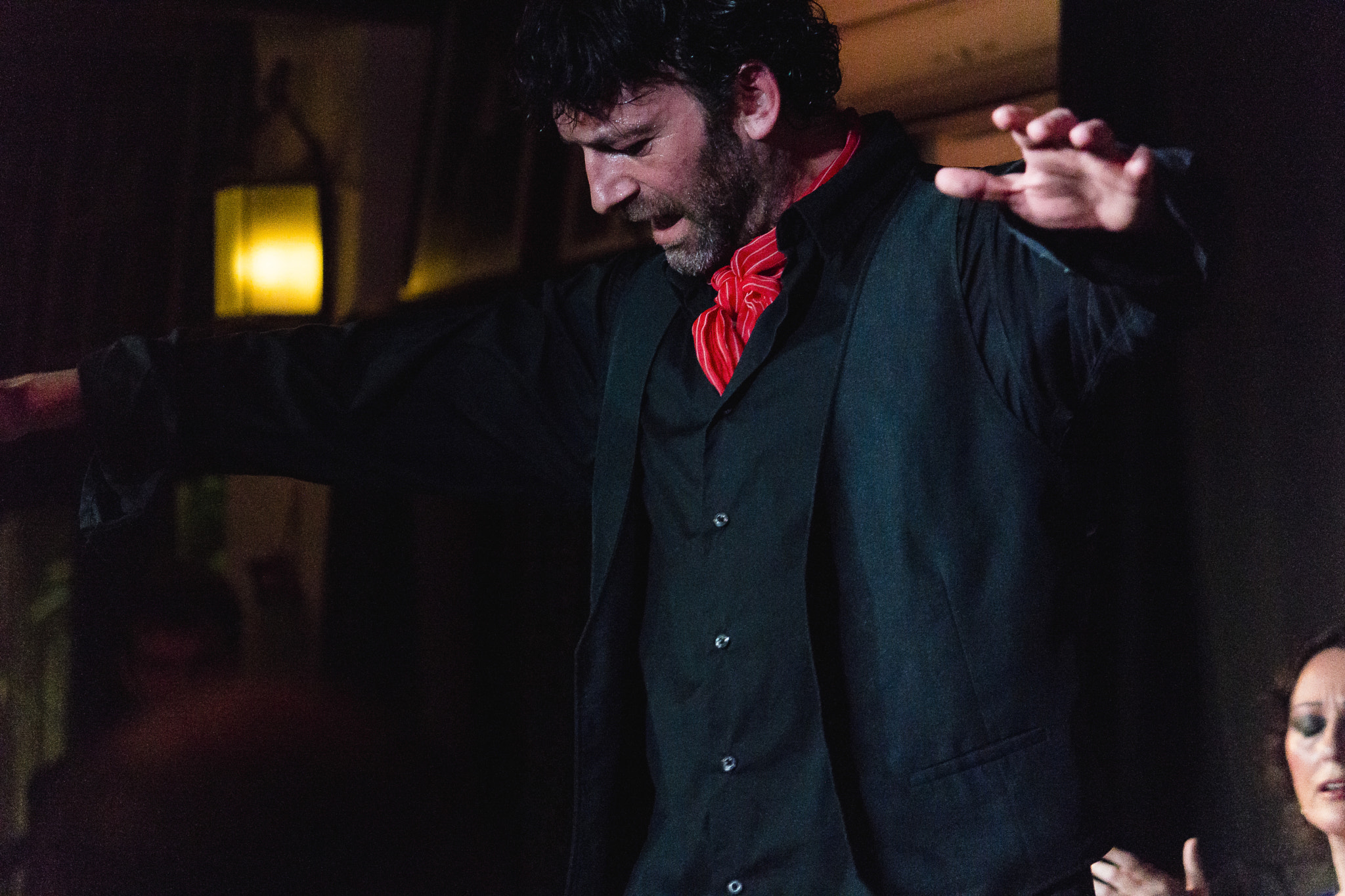 Tamron 18-270mm F3.5-6.3 Di II PZD sample photo. Flamenco at los jardines de zoraya photography
