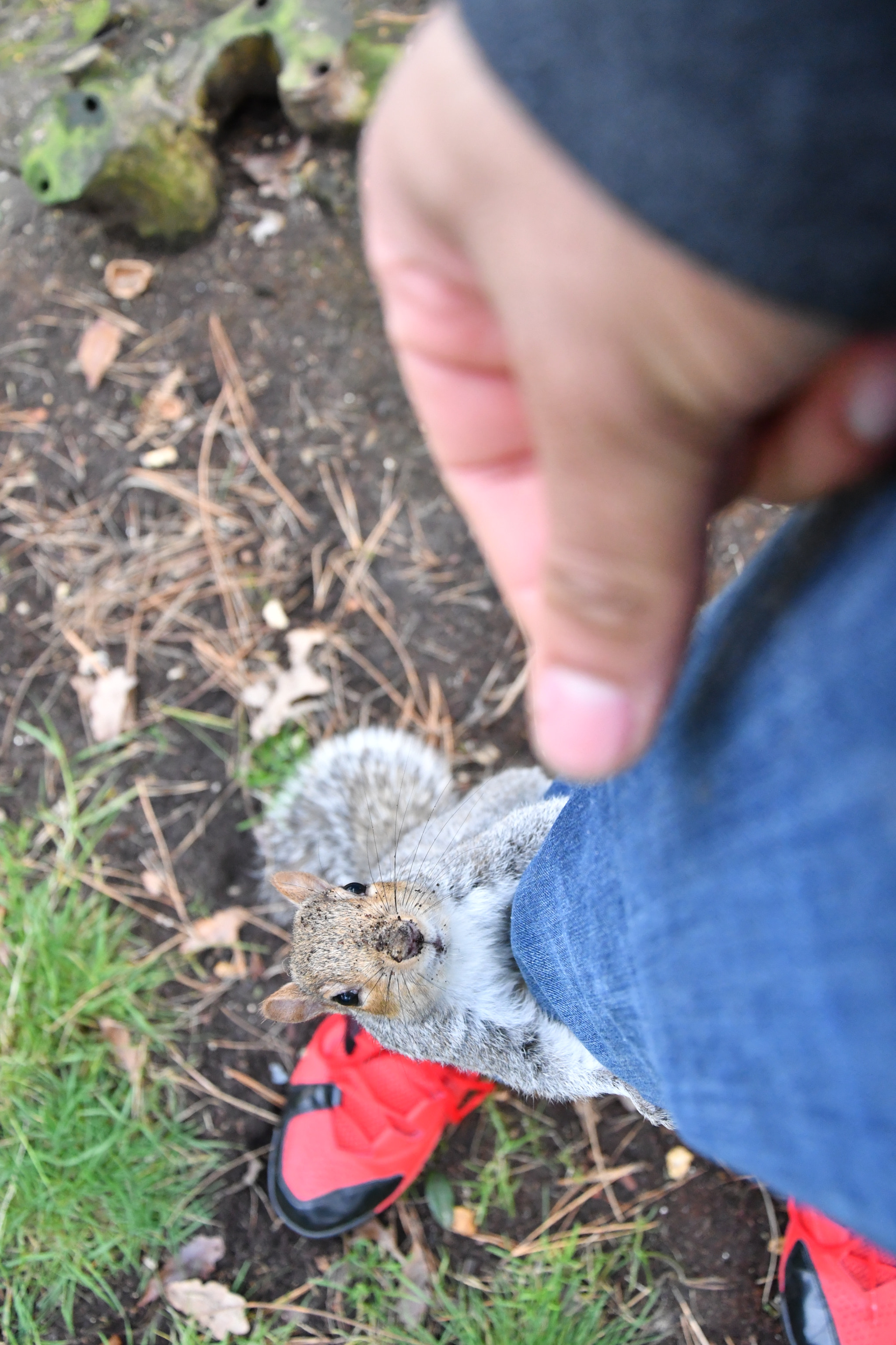 Nikon D500 sample photo. Hug? photography