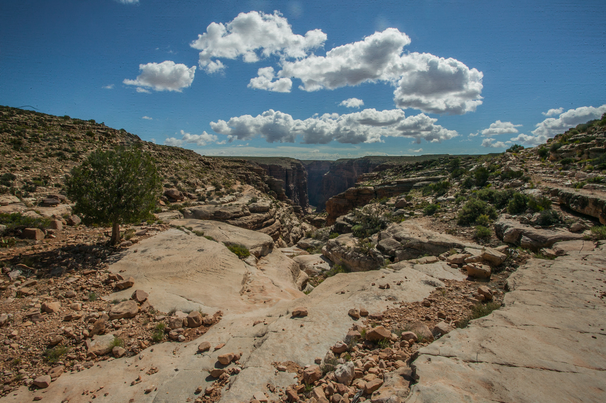 Canon EOS-1Ds + Canon EF 17-40mm F4L USM sample photo. Another canyon photography