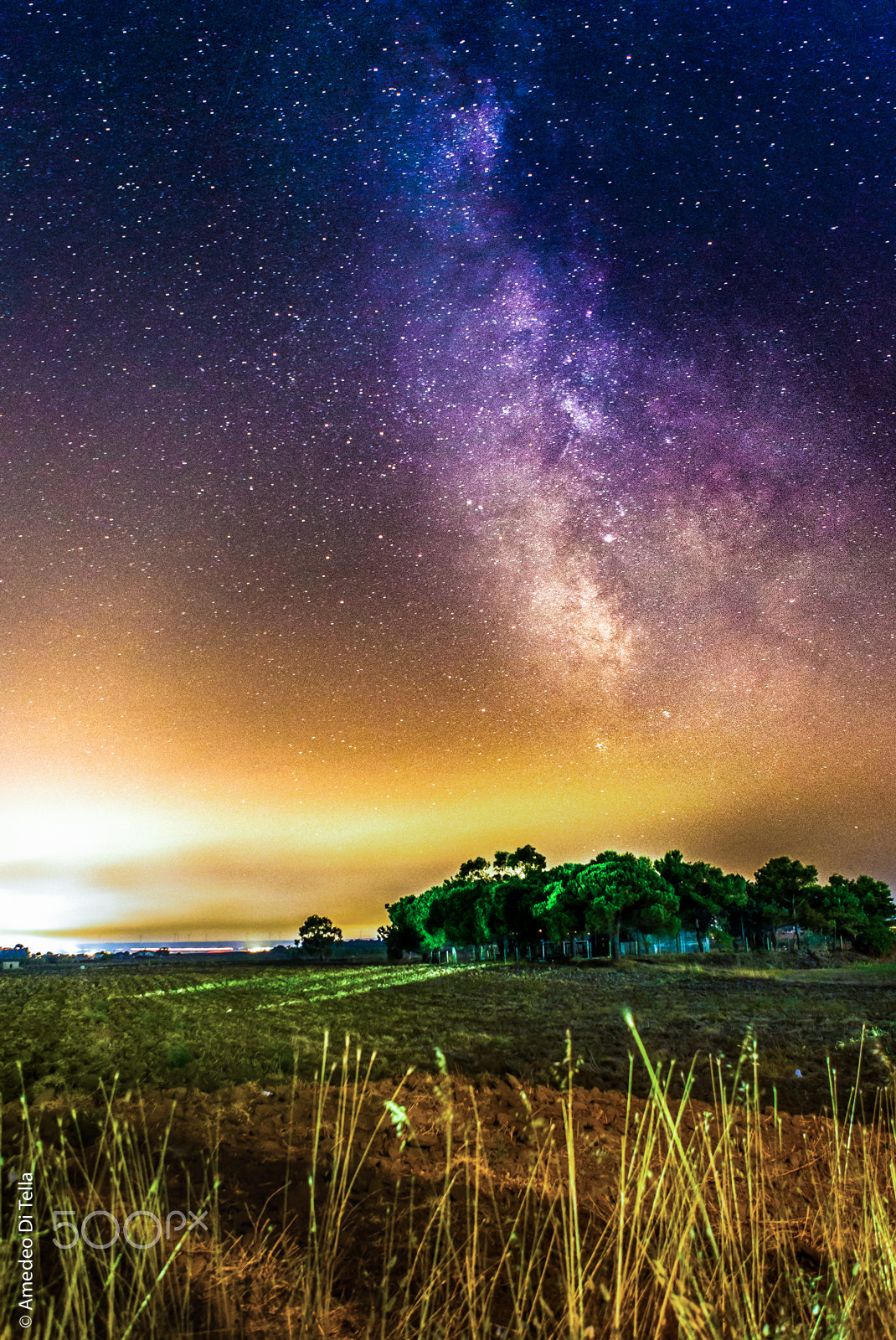 Canon EOS-1D X sample photo. Milky photography
