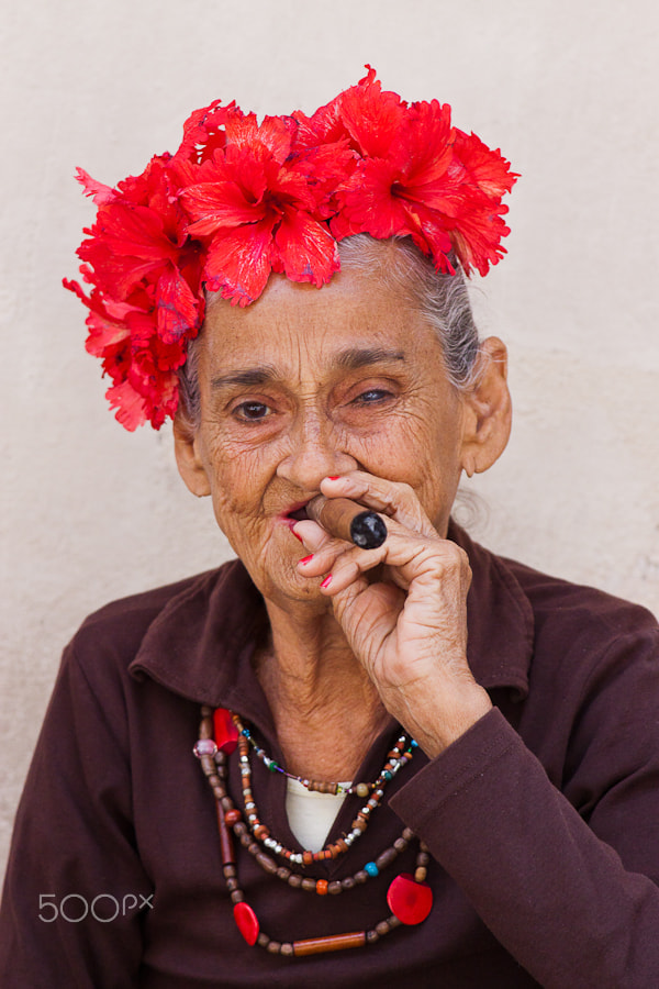 Canon EOS 50D + Canon EF 70-200mm F4L IS USM sample photo. Lady roses photography