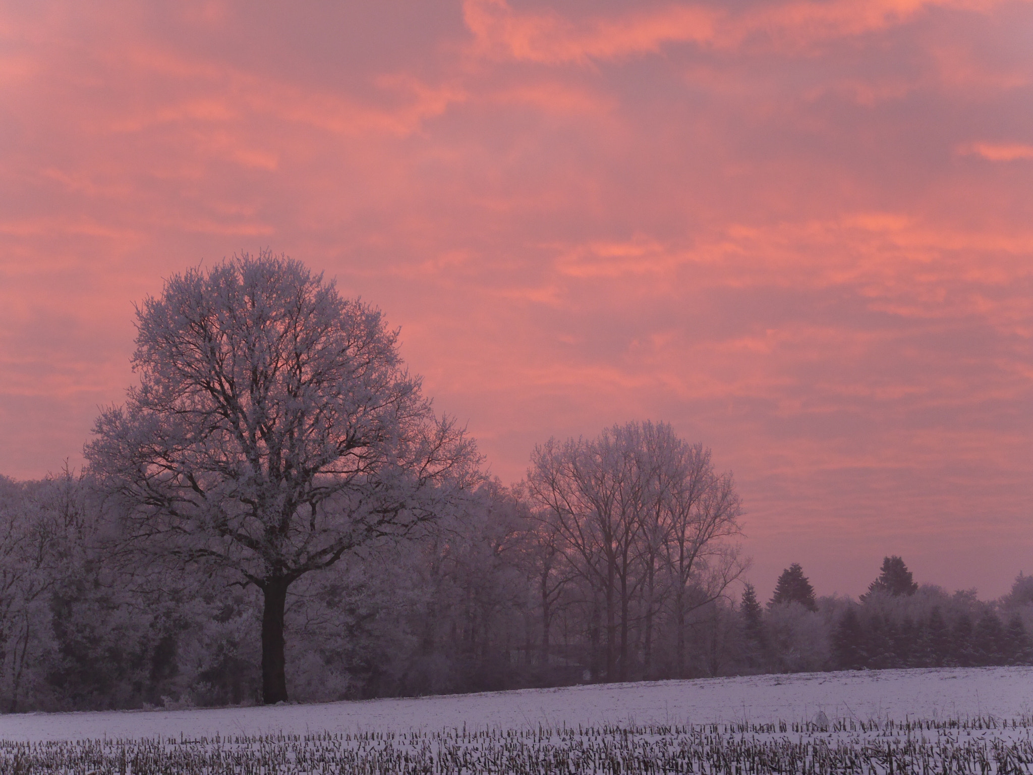 Panasonic Lumix DMC-G6 sample photo. Sundown wilsum germany photography