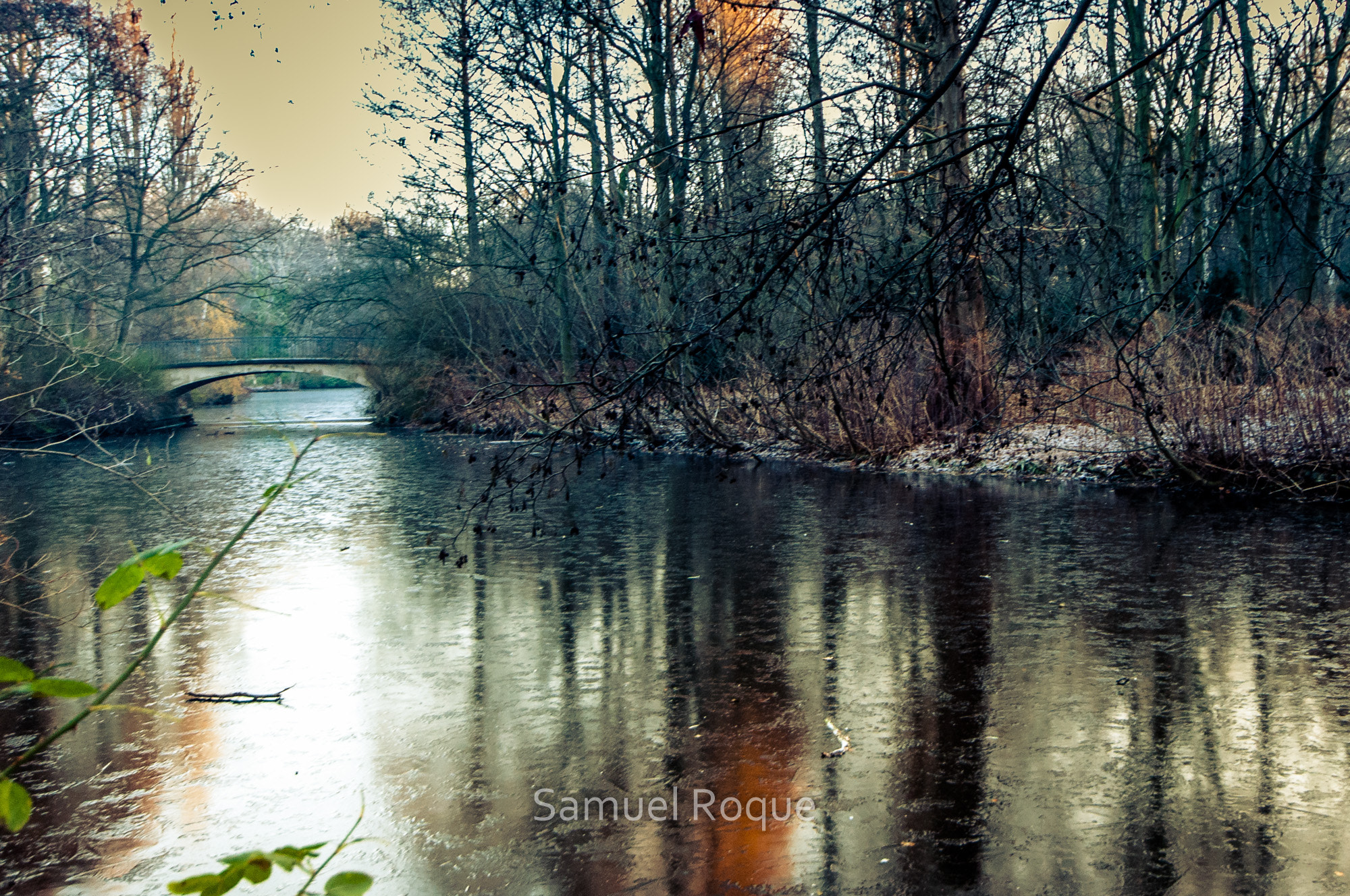 Sigma 10-20mm F4-5.6 EX DC HSM sample photo. Berlin - tiergarten photography
