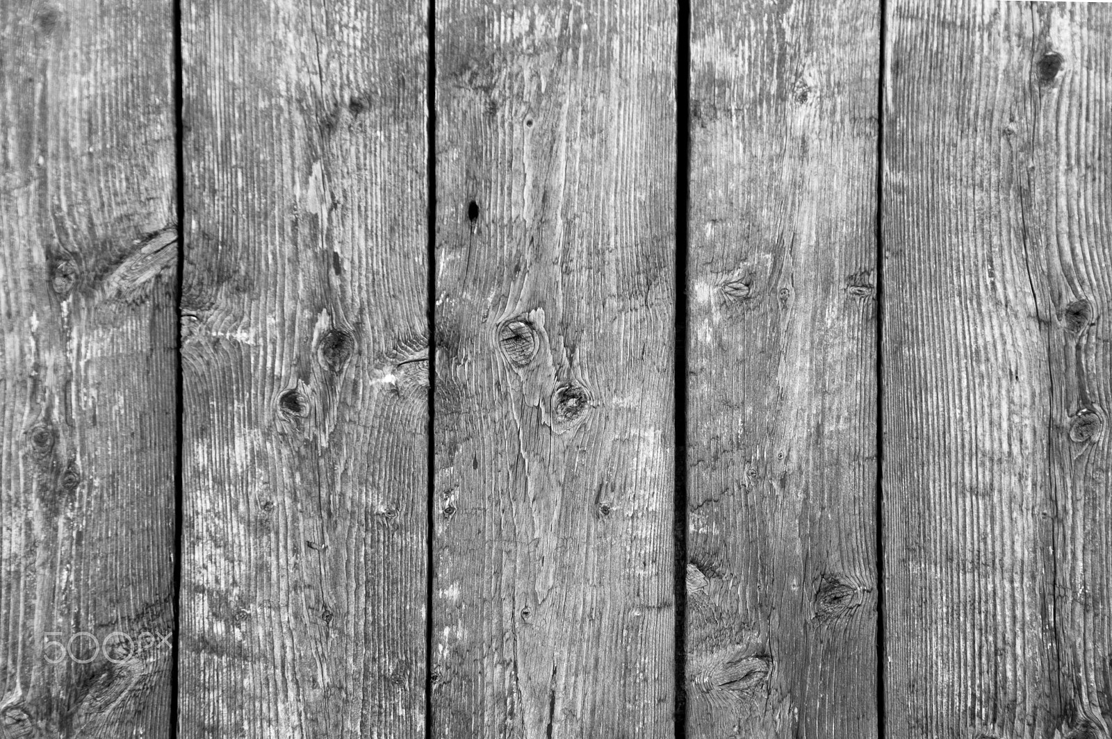Nikon D3200 sample photo. Background of five vertical barn boards b/w photography