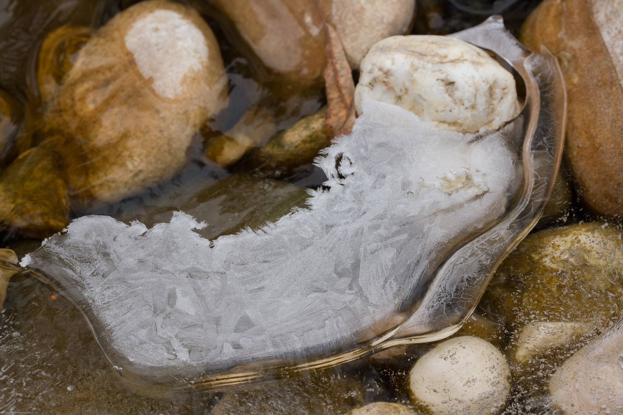 Sigma 105mm F2.8 EX DG OS HSM sample photo. The iced world photography