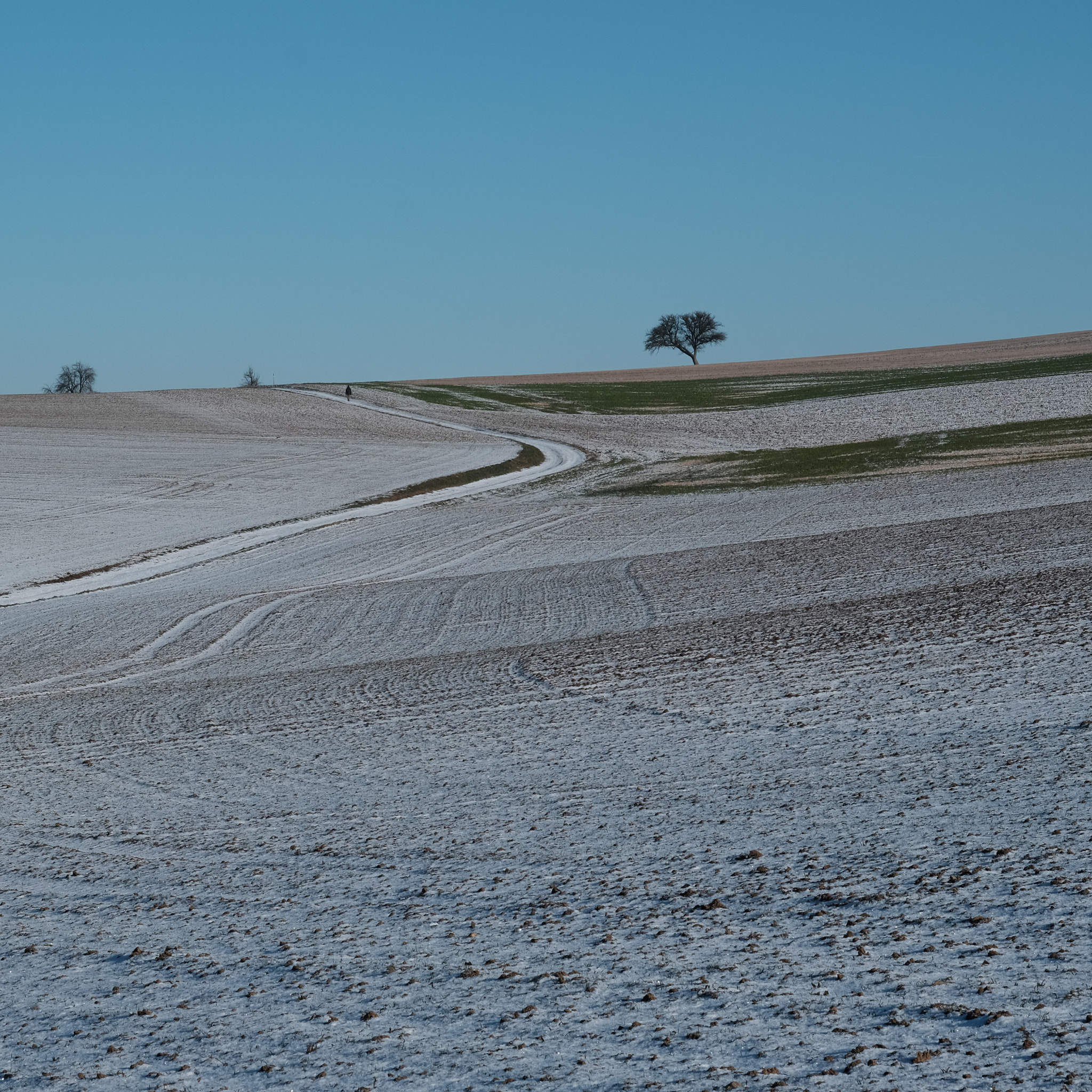 Fujifilm XF 56mm F1.2 R sample photo. Winter fields photography