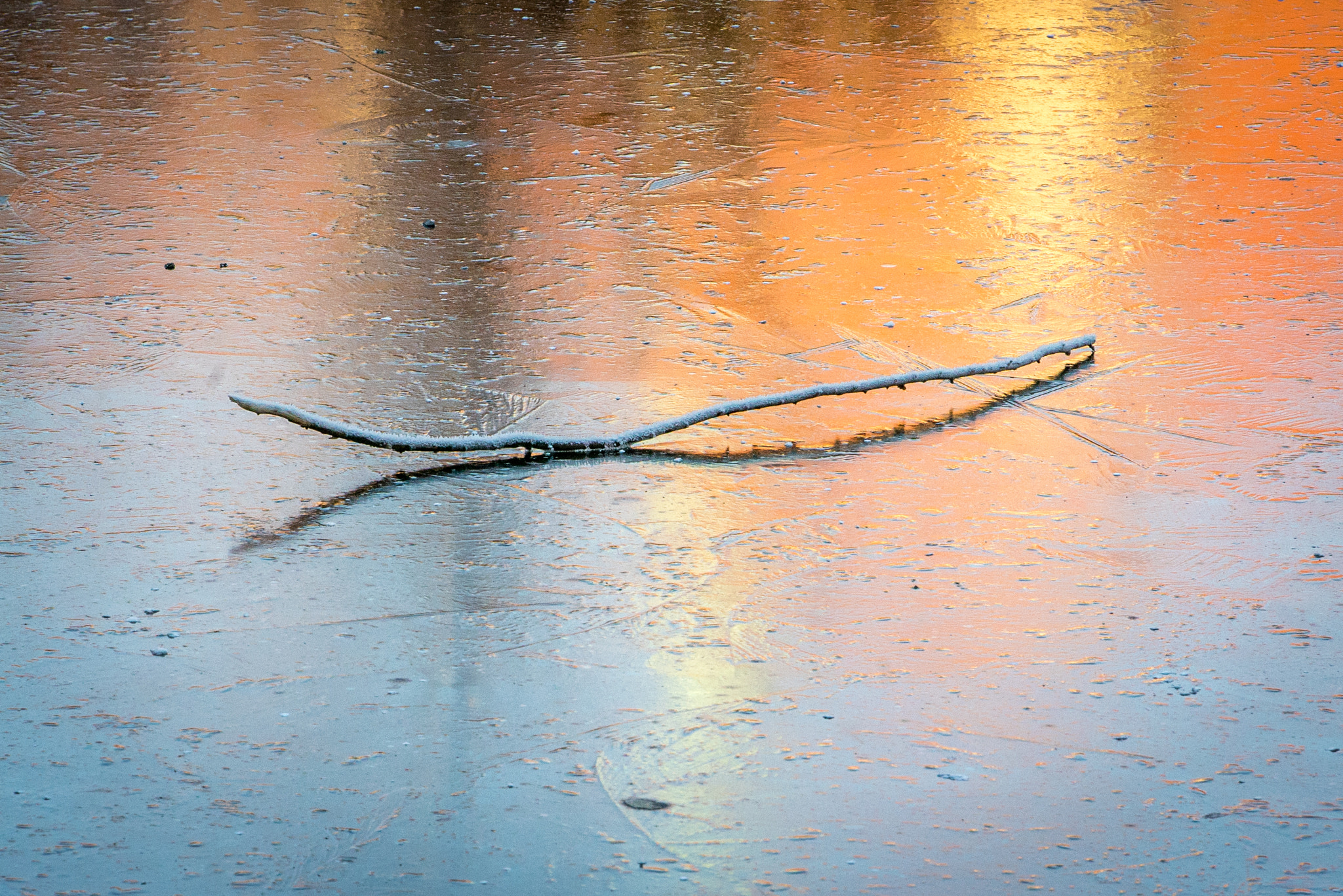 Sony a7S II + Sony DT 50mm F1.8 SAM sample photo. On thin ice photography