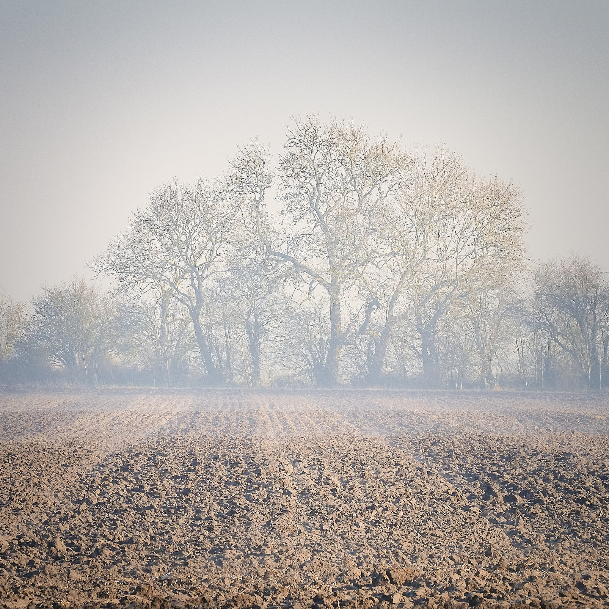 Fujifilm X-E1 + Fujifilm XF 55-200mm F3.5-4.8 R LM OIS sample photo. Mist again photography