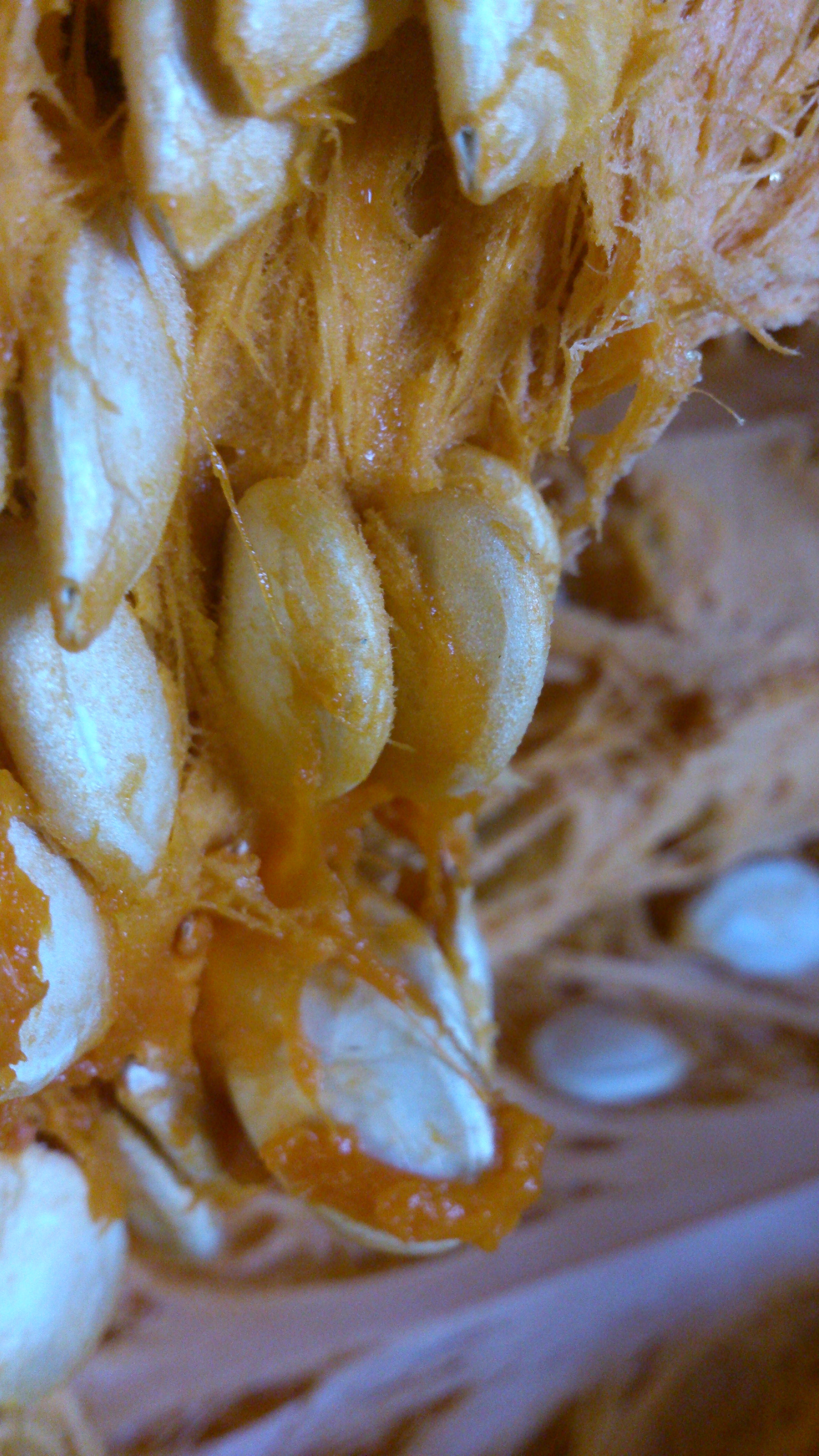 Sony Xperia T sample photo. Inside photography
