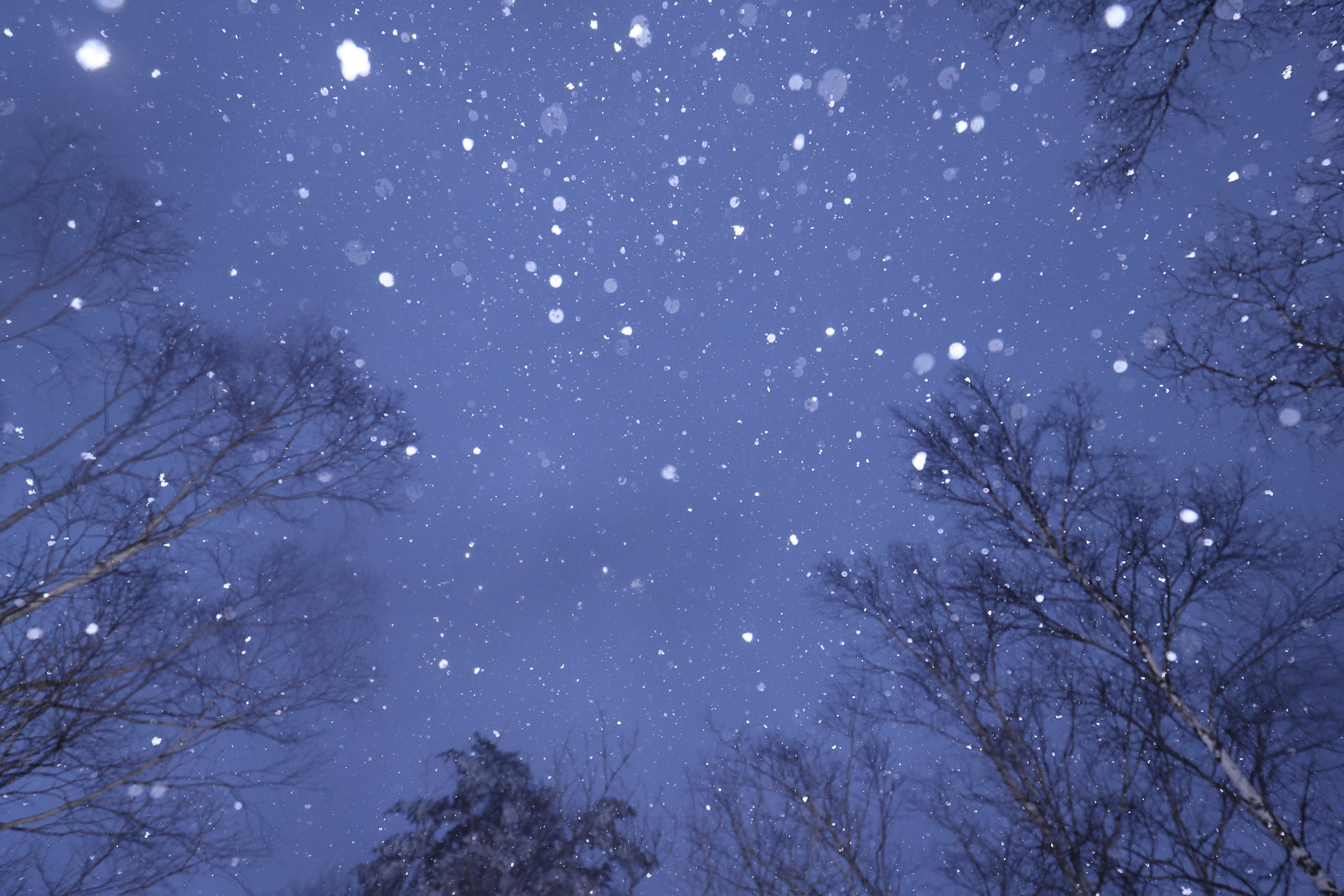 Canon EF 16-35mm F4L IS USM sample photo. Snow photography