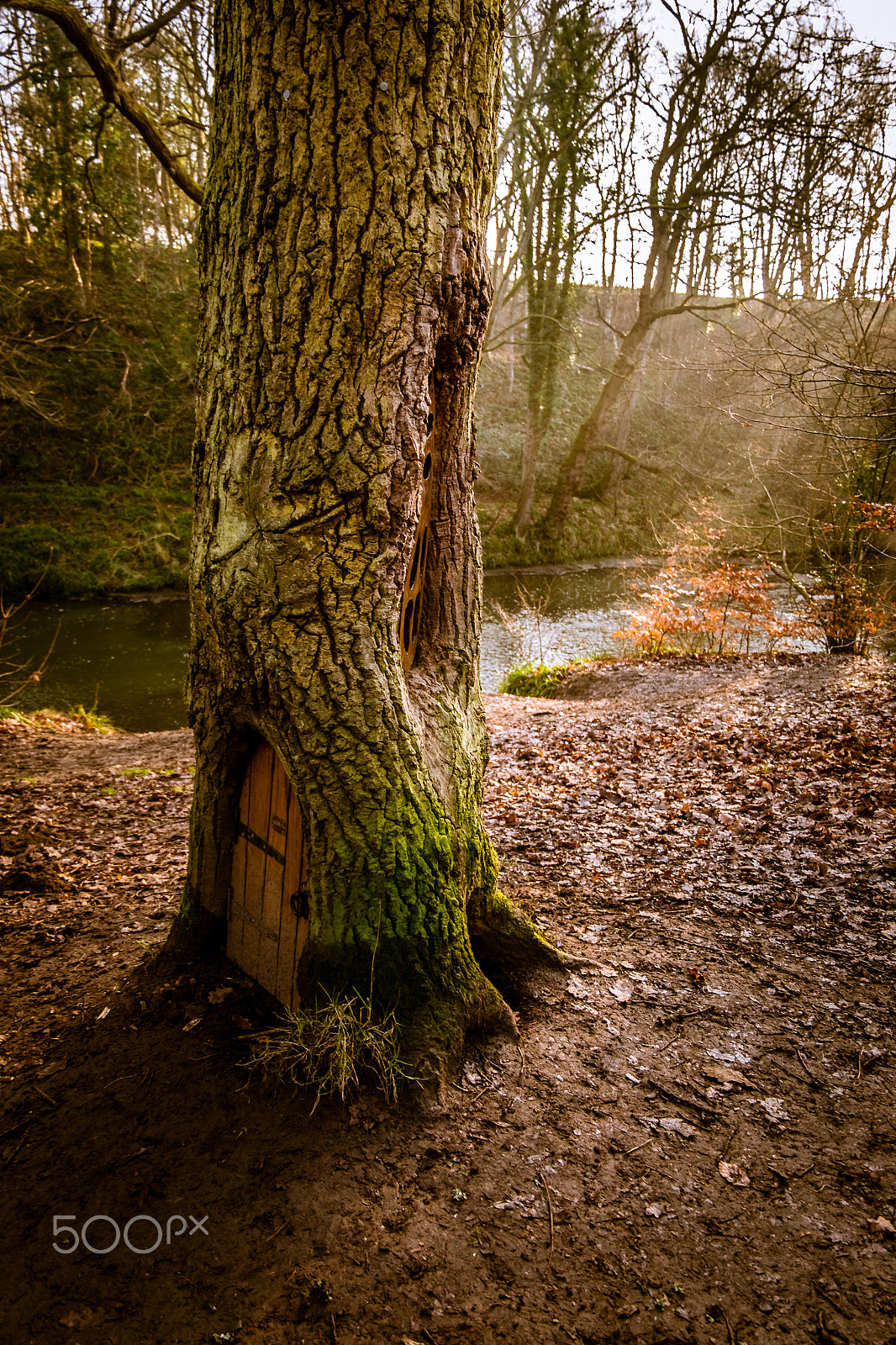 Fujifilm X-T1 sample photo. Plessey woods photography